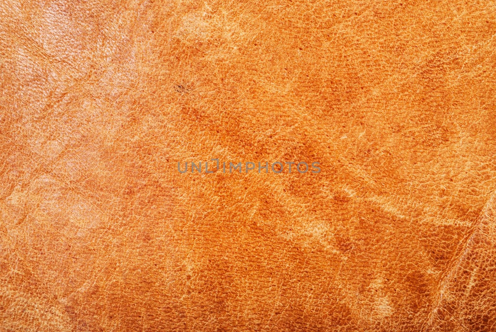 Natural brown animal leather texture background.
