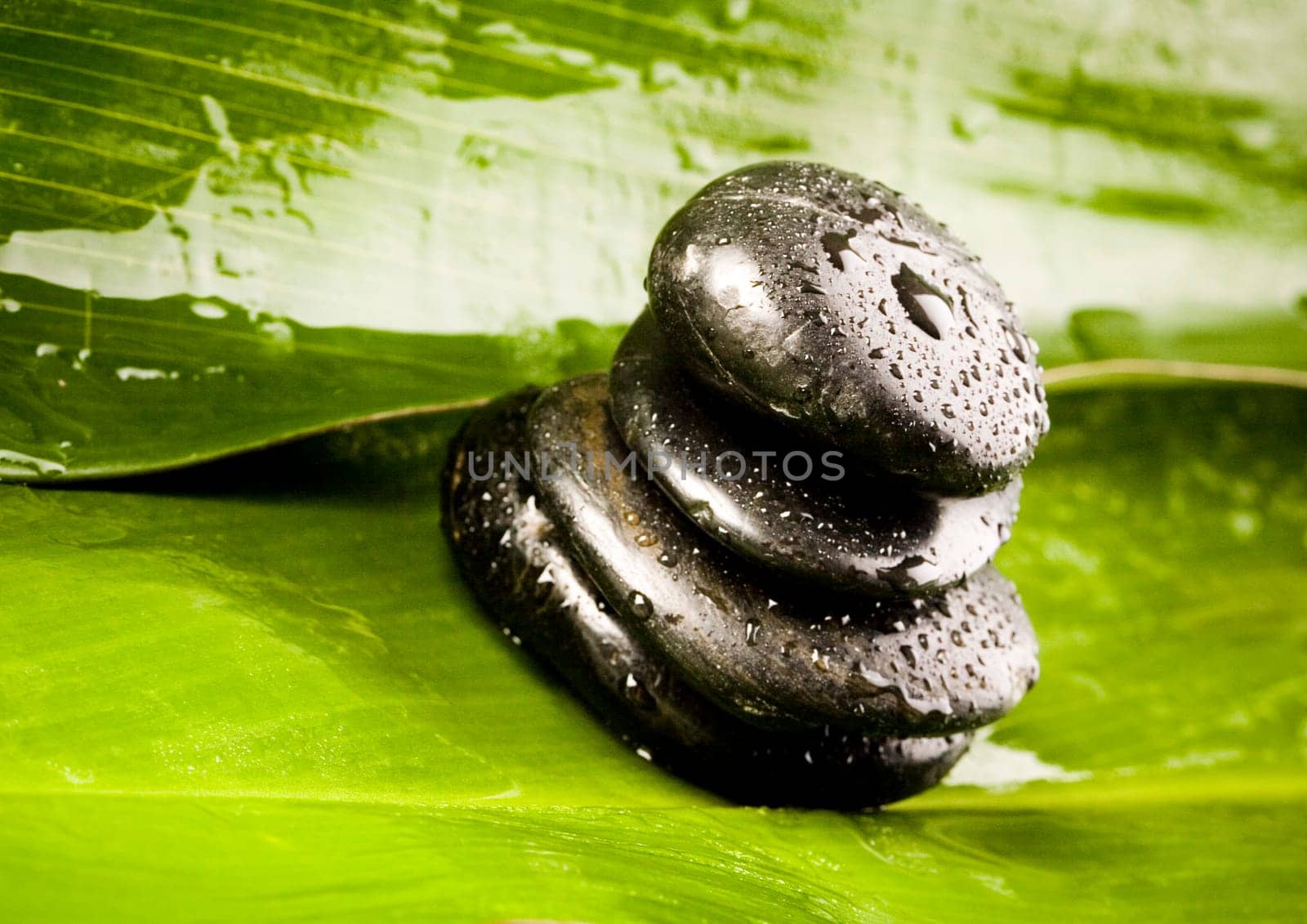 Zen is a freshness and the way of life.