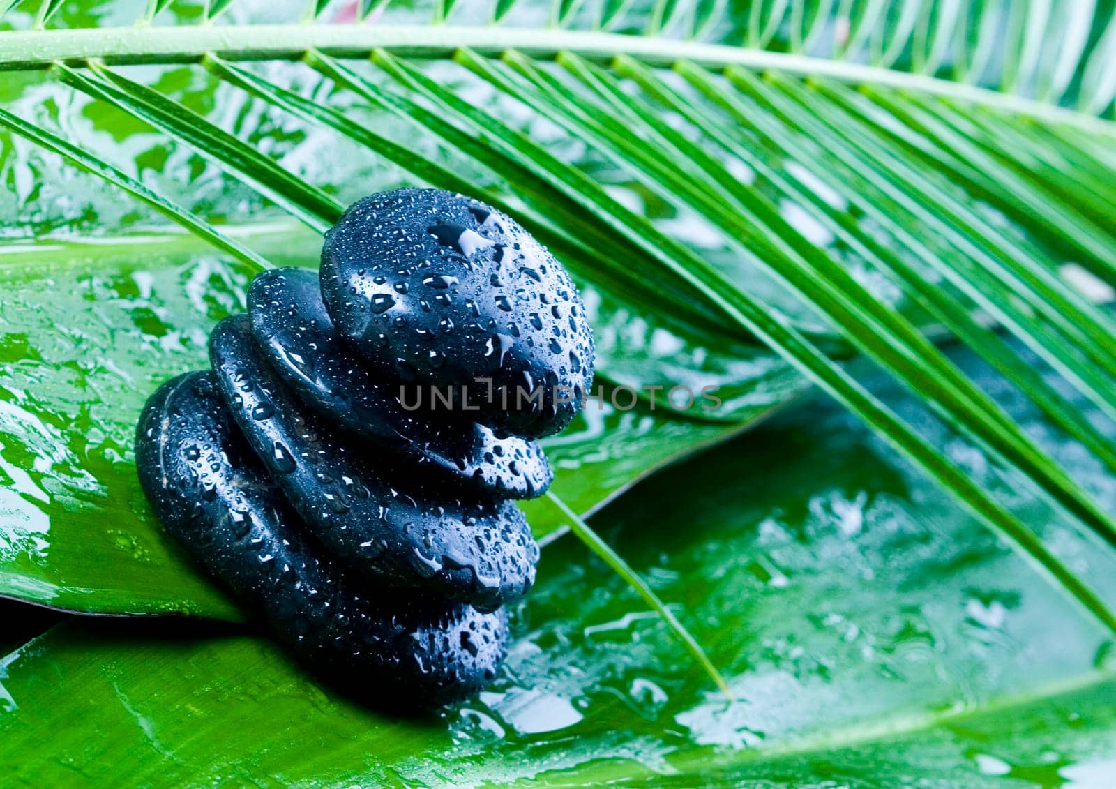 Zen is a freshness and the way of life.