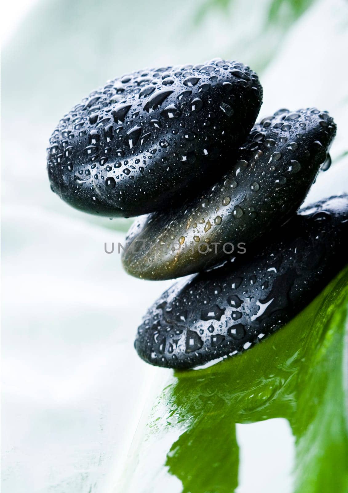 Zen is a freshness and the way of life.