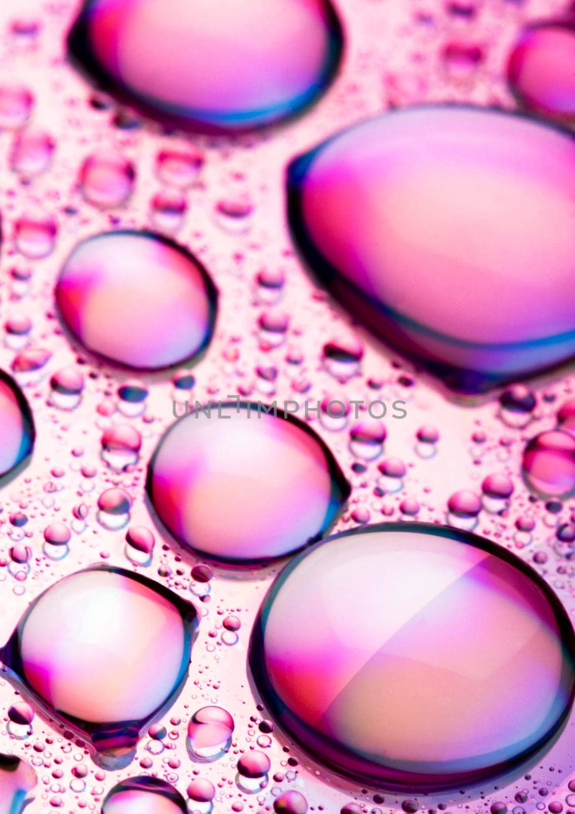 Water is the most important element for all lives on the Earth.