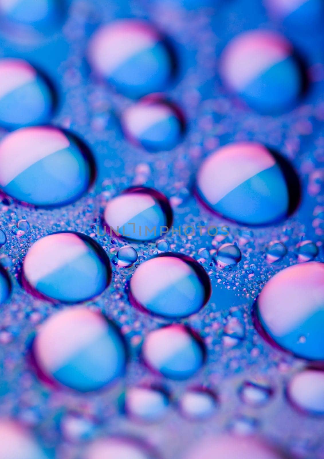 Water is the most important element for all lives on the Earth.