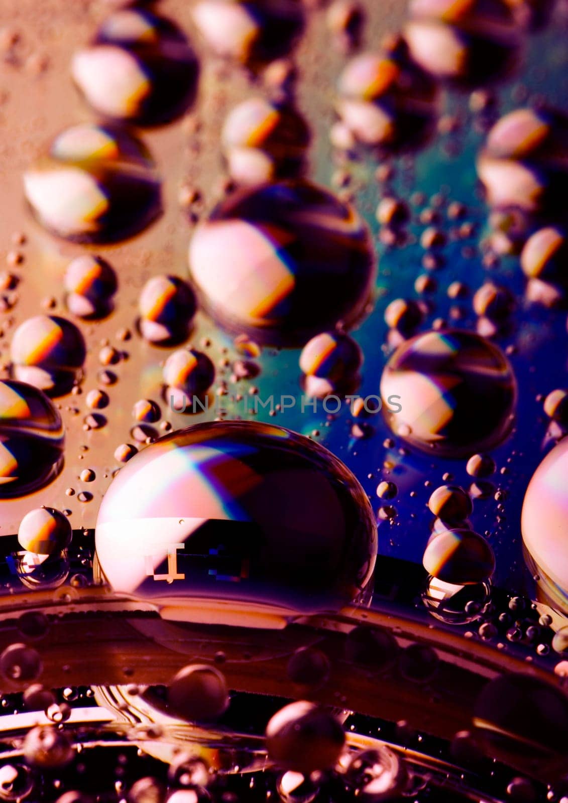 Water is the most important element for all lives on the Earth.