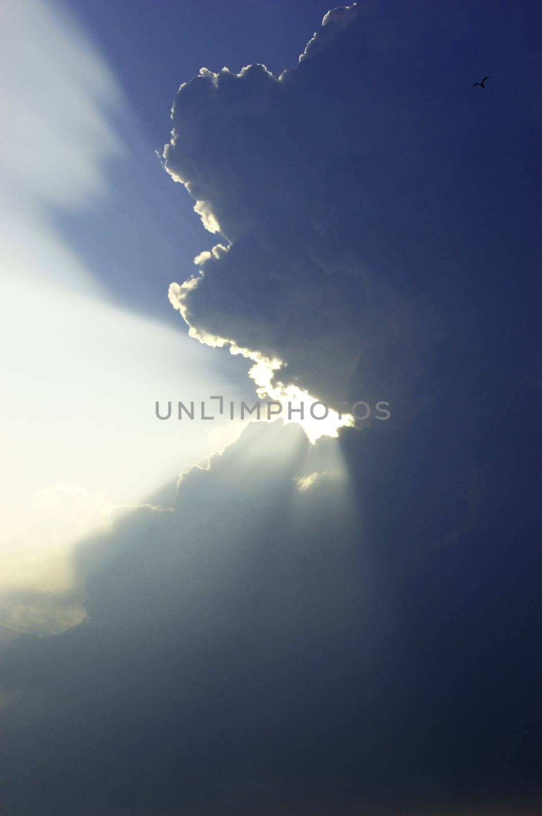Ray of Light