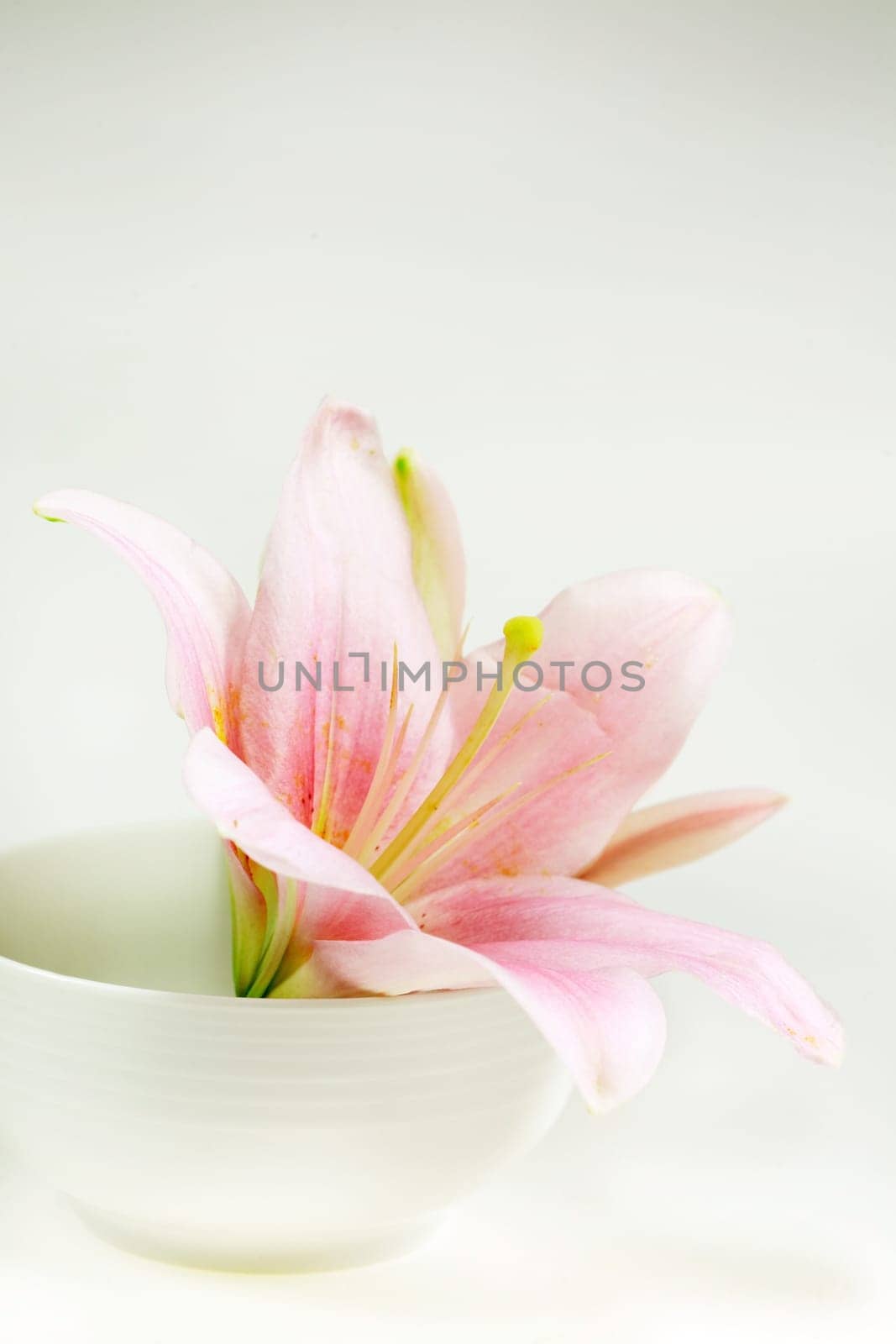 Harmony - concept of harmony, balance, meditation