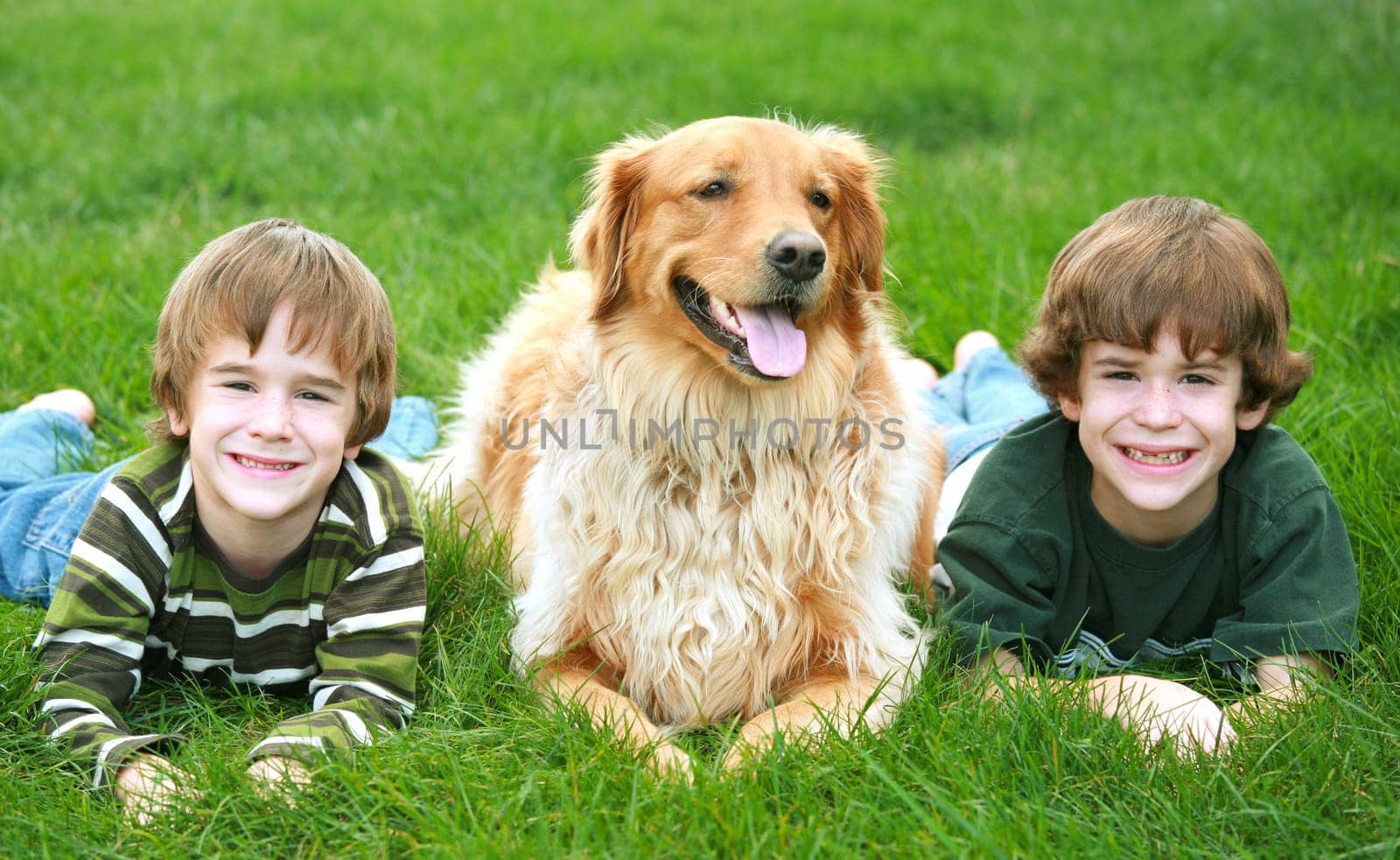 Boys Laying in Grass with the Dog