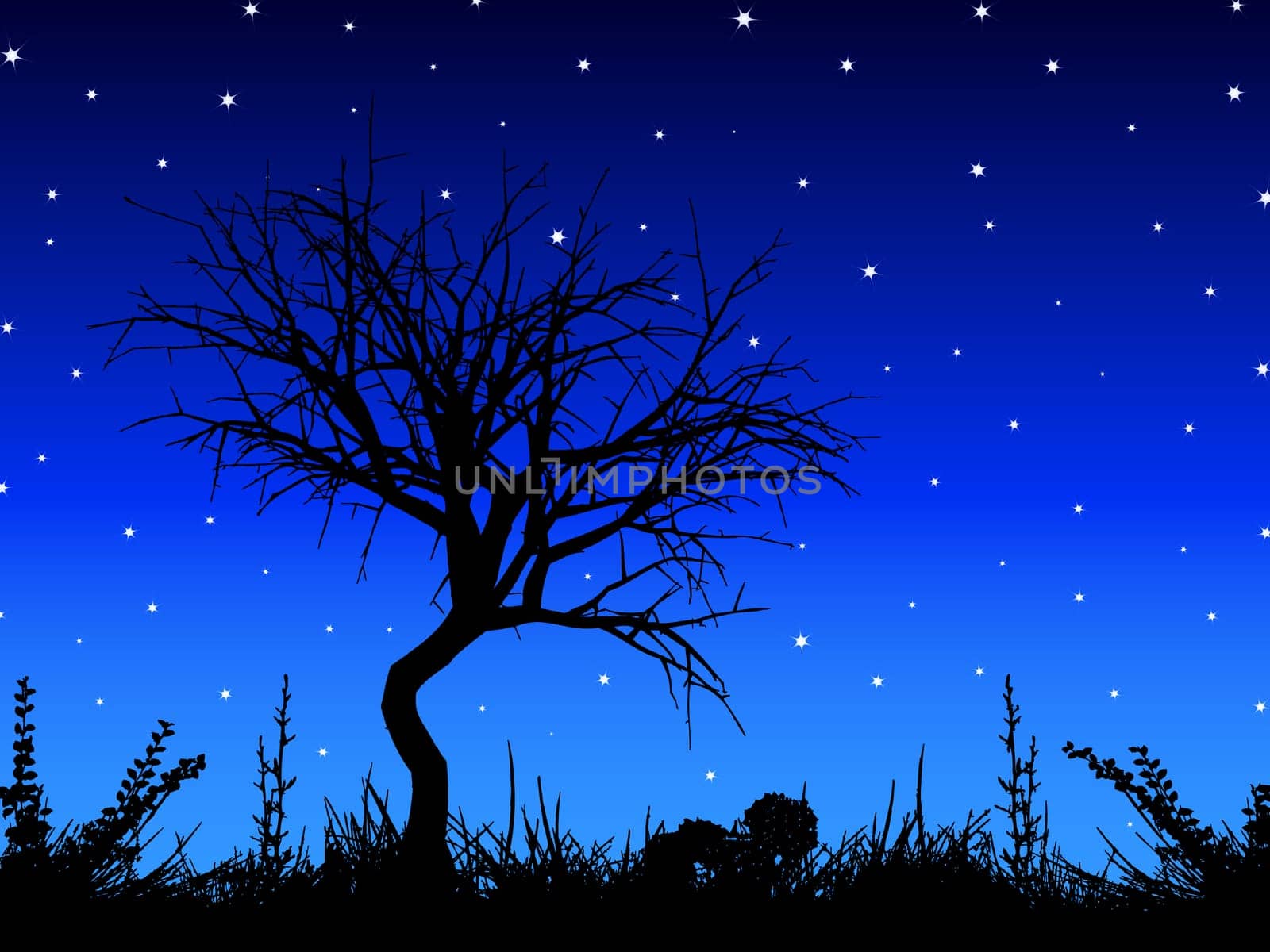 Silhouette of a tree against a starry sky