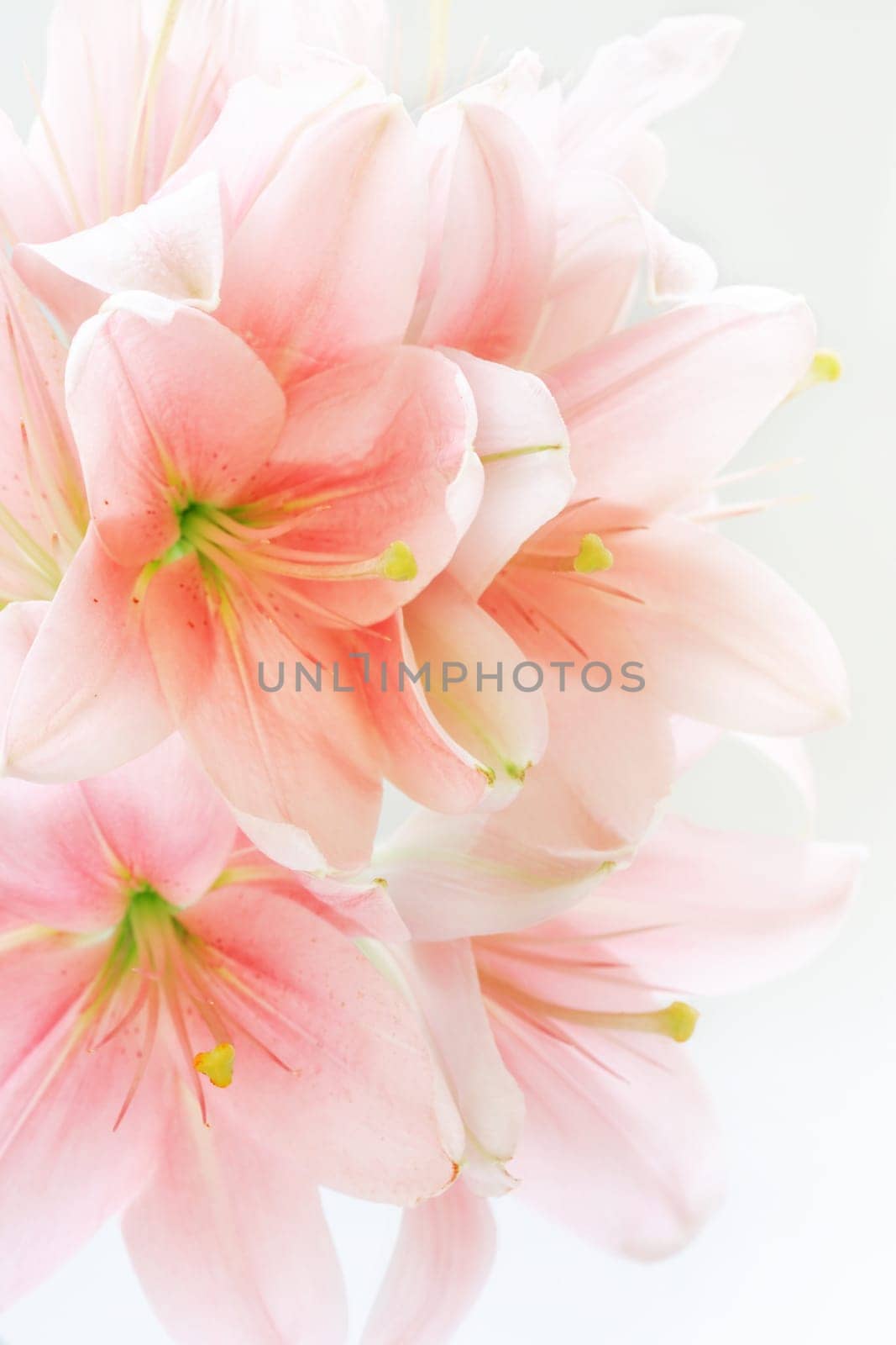 Floral background