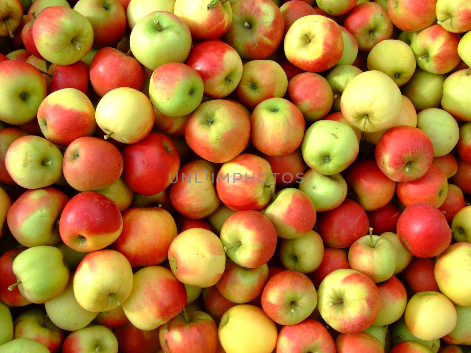 Box full of apples