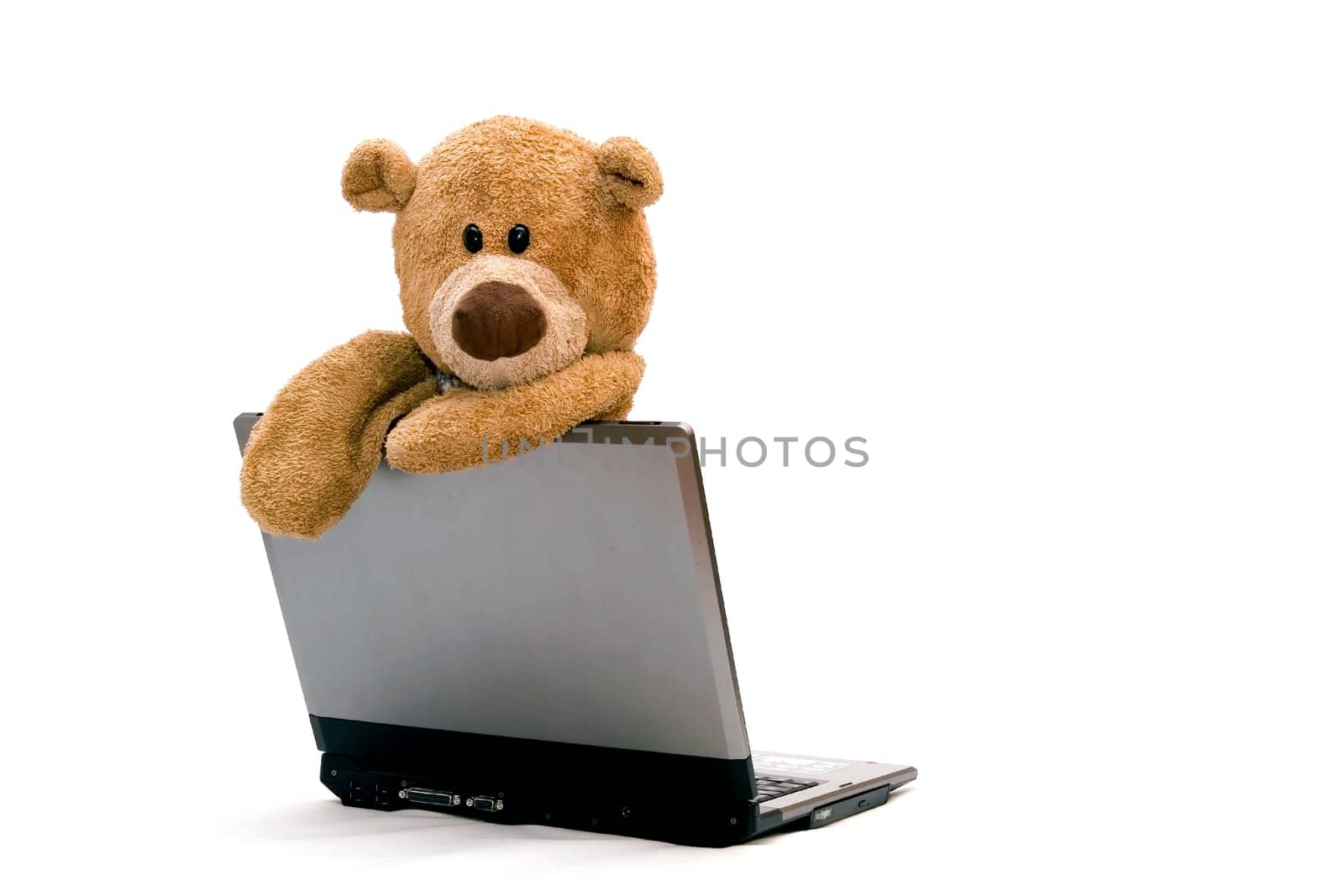 Teddy Bears are surfing on the Internet
