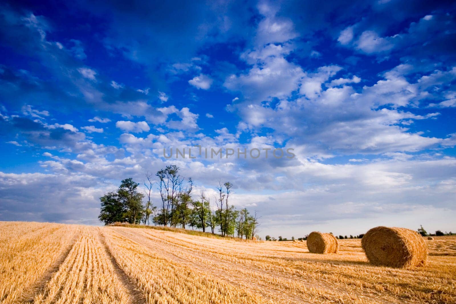 summer hay bale in a ungarish field, and beauty landscape