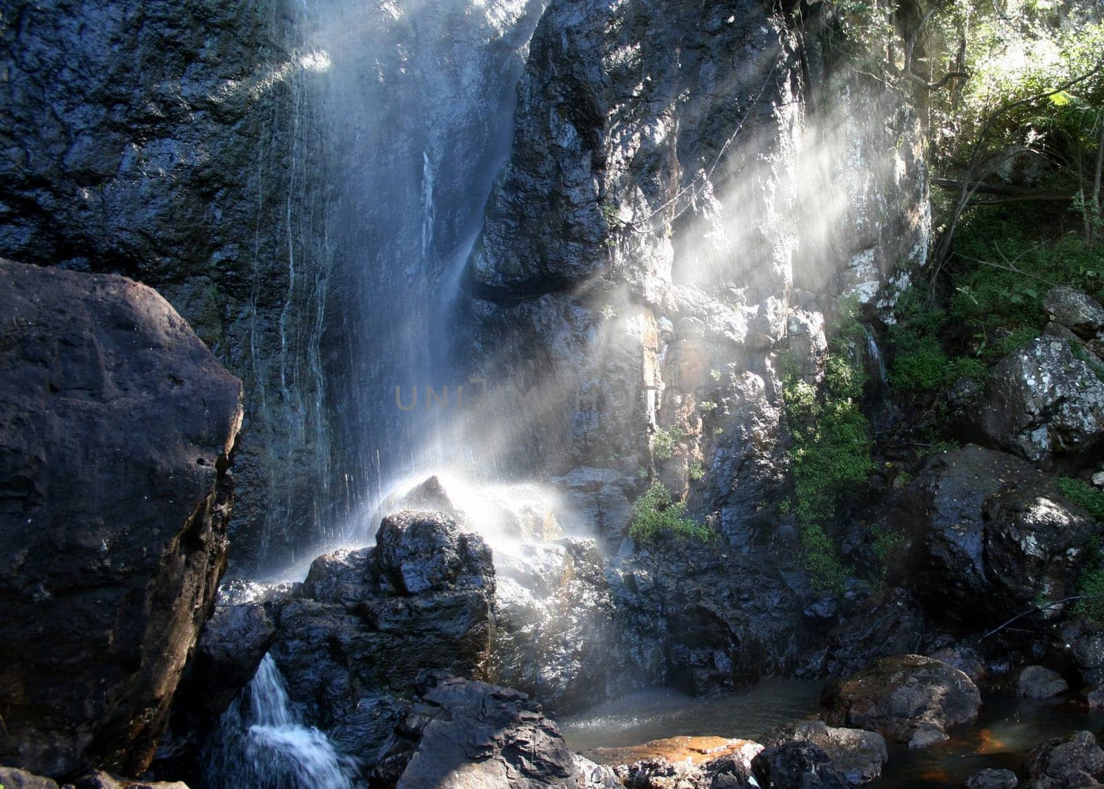 Rays of sunlight streaming through a rainforest land at the base of a waterfall.