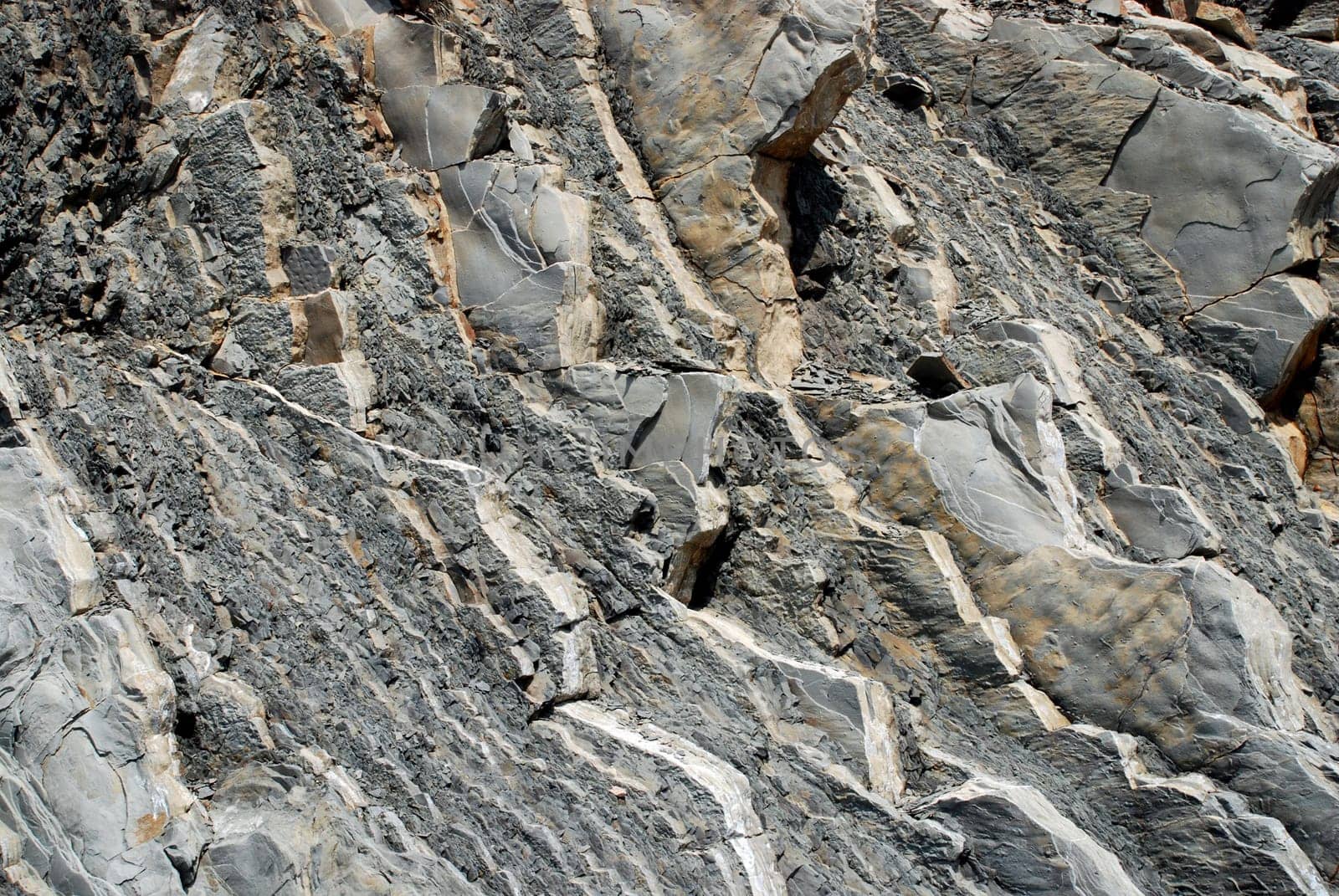 Rock wall in percé Quebec, gray appalache formation