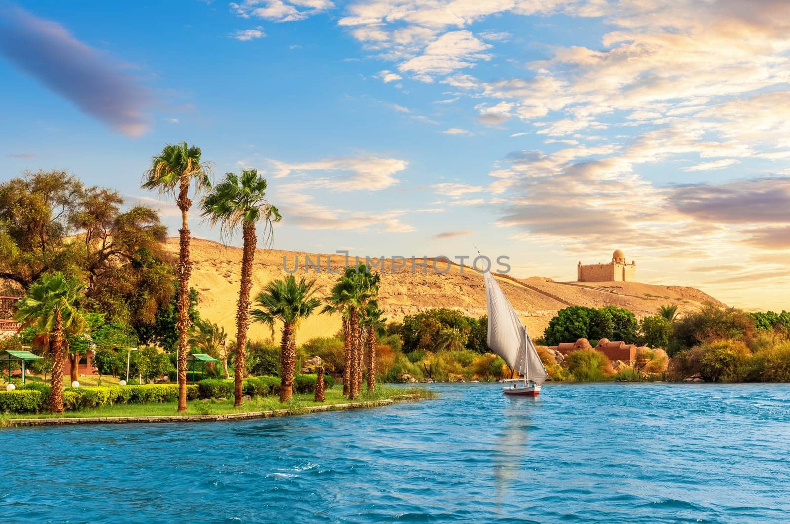 A Seagull flies by the traditional African village by the Nile near Aswan, Egypt.