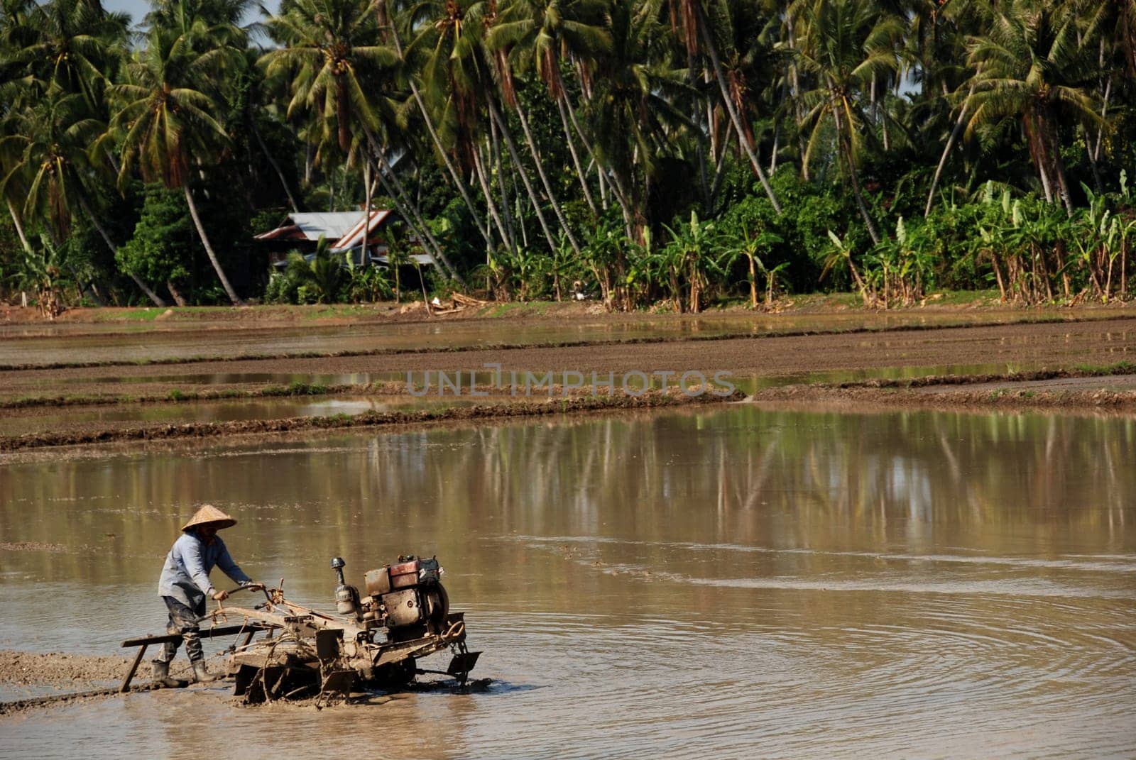 plough machine and farmer in the paddy field