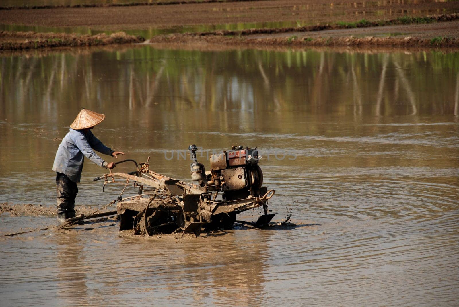 plough machine and farmer in the paddy field