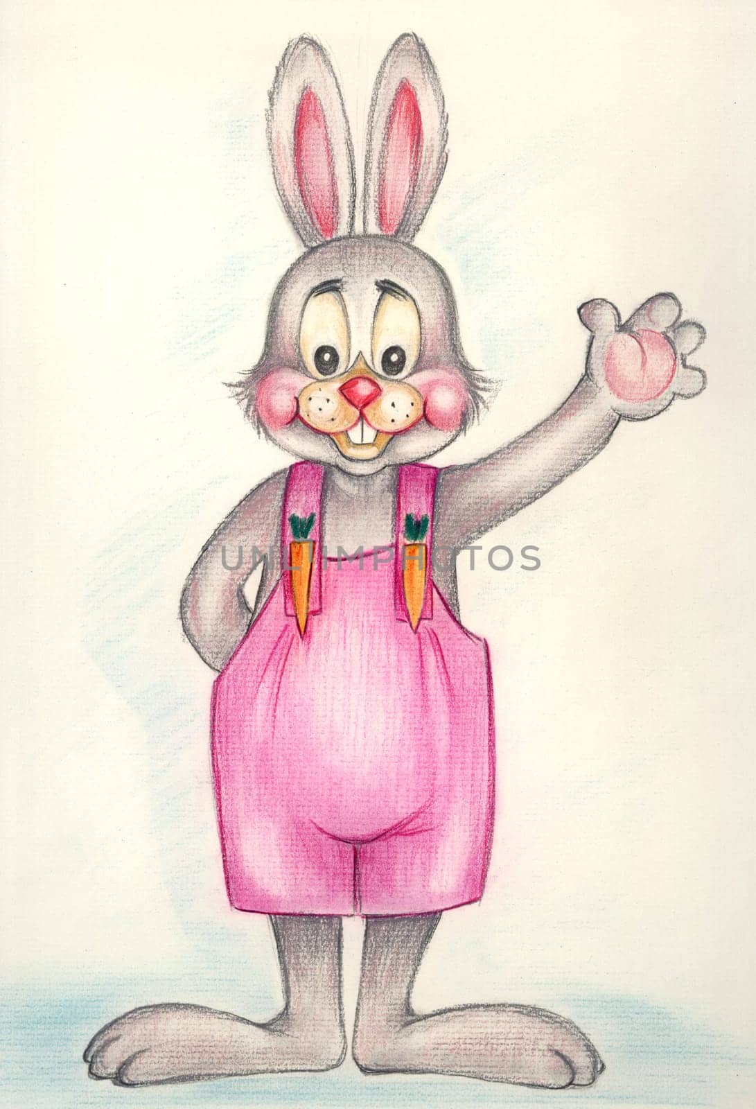 bunny rabbit illustration
