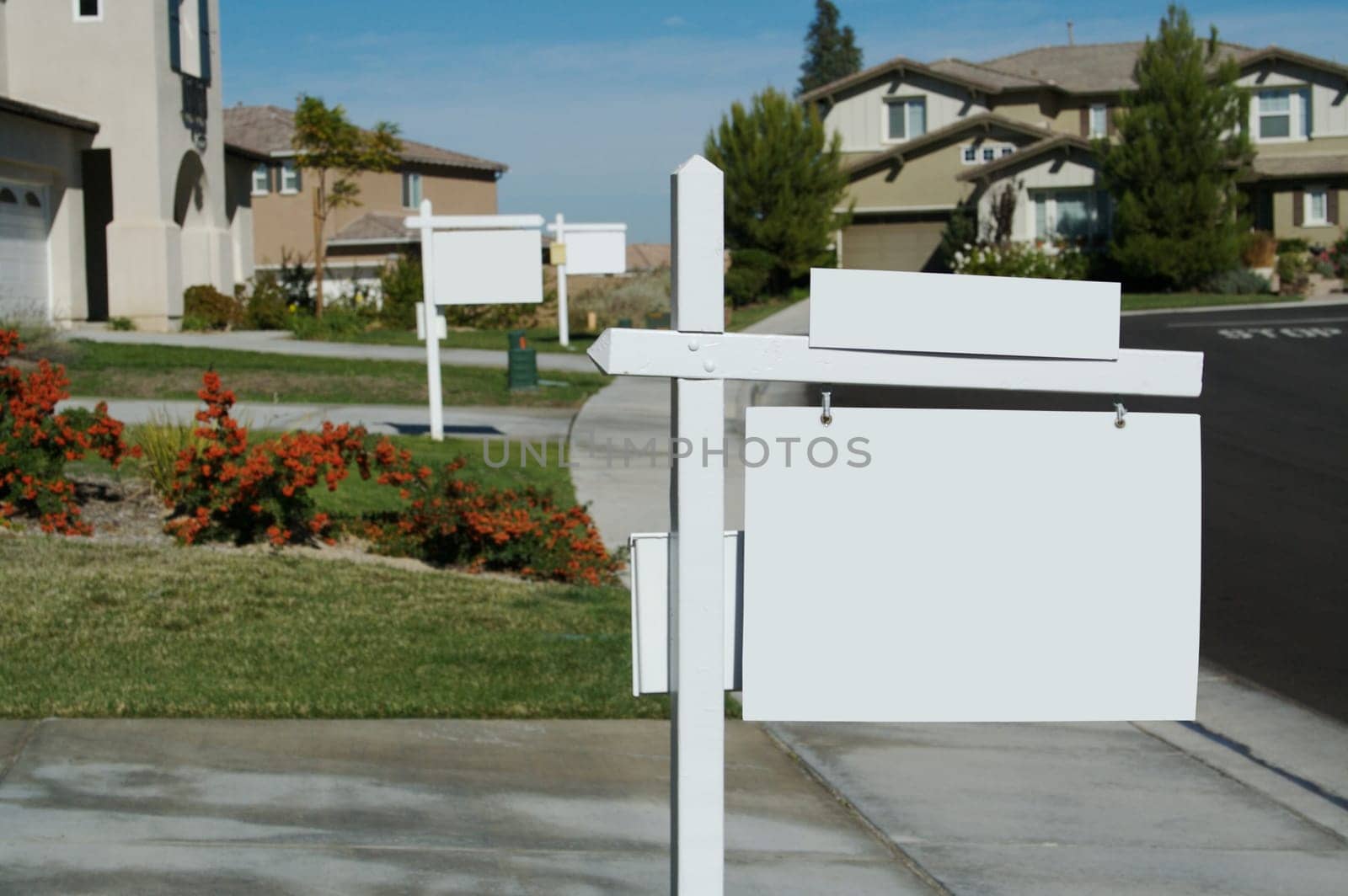Blank Real Estate Signs in a Row - Ready for your own message.