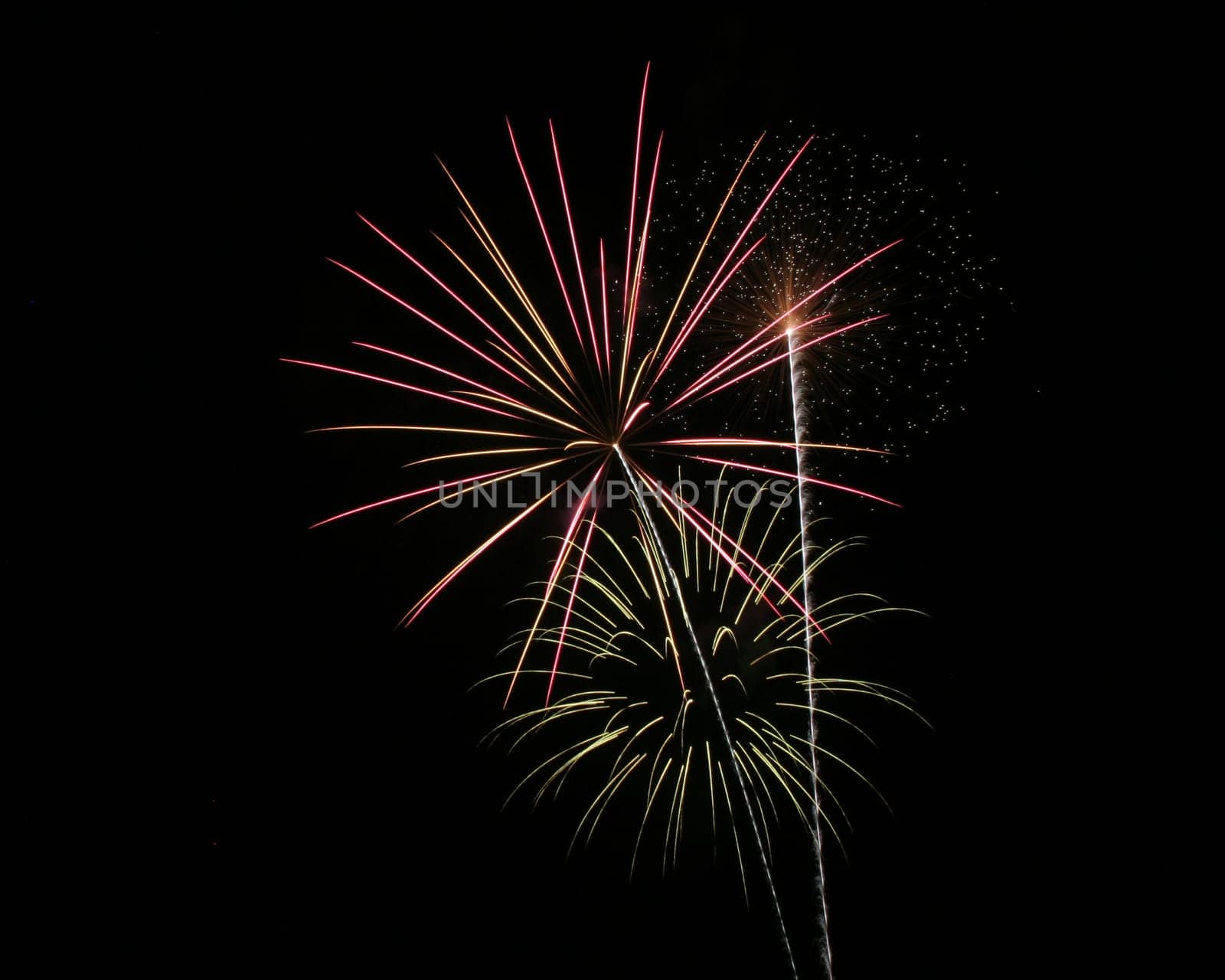 A flowery bloom of color in the dark night sky.