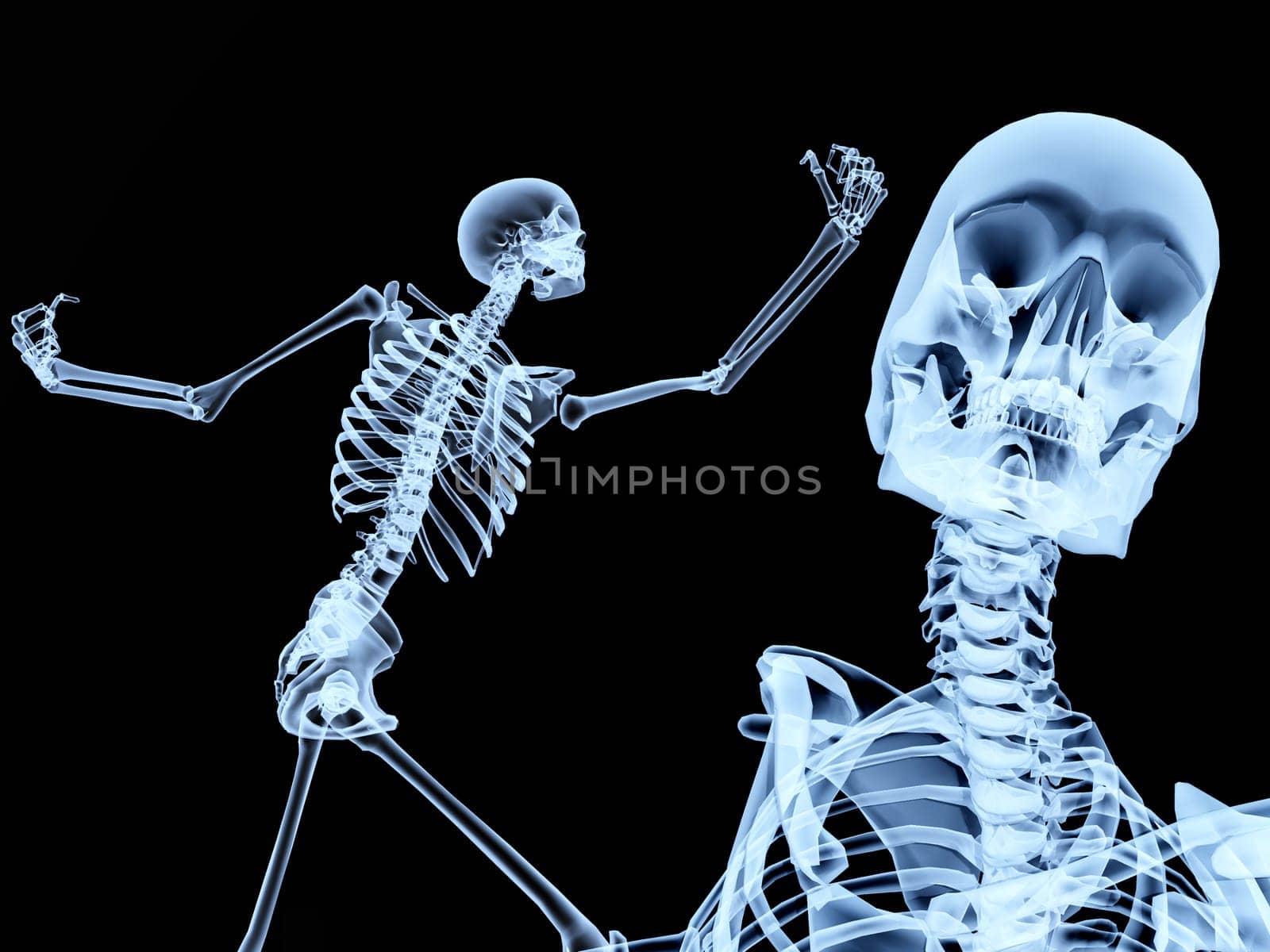 An image of two xrays of some skeletons, a good Halloween or possible medical based image.