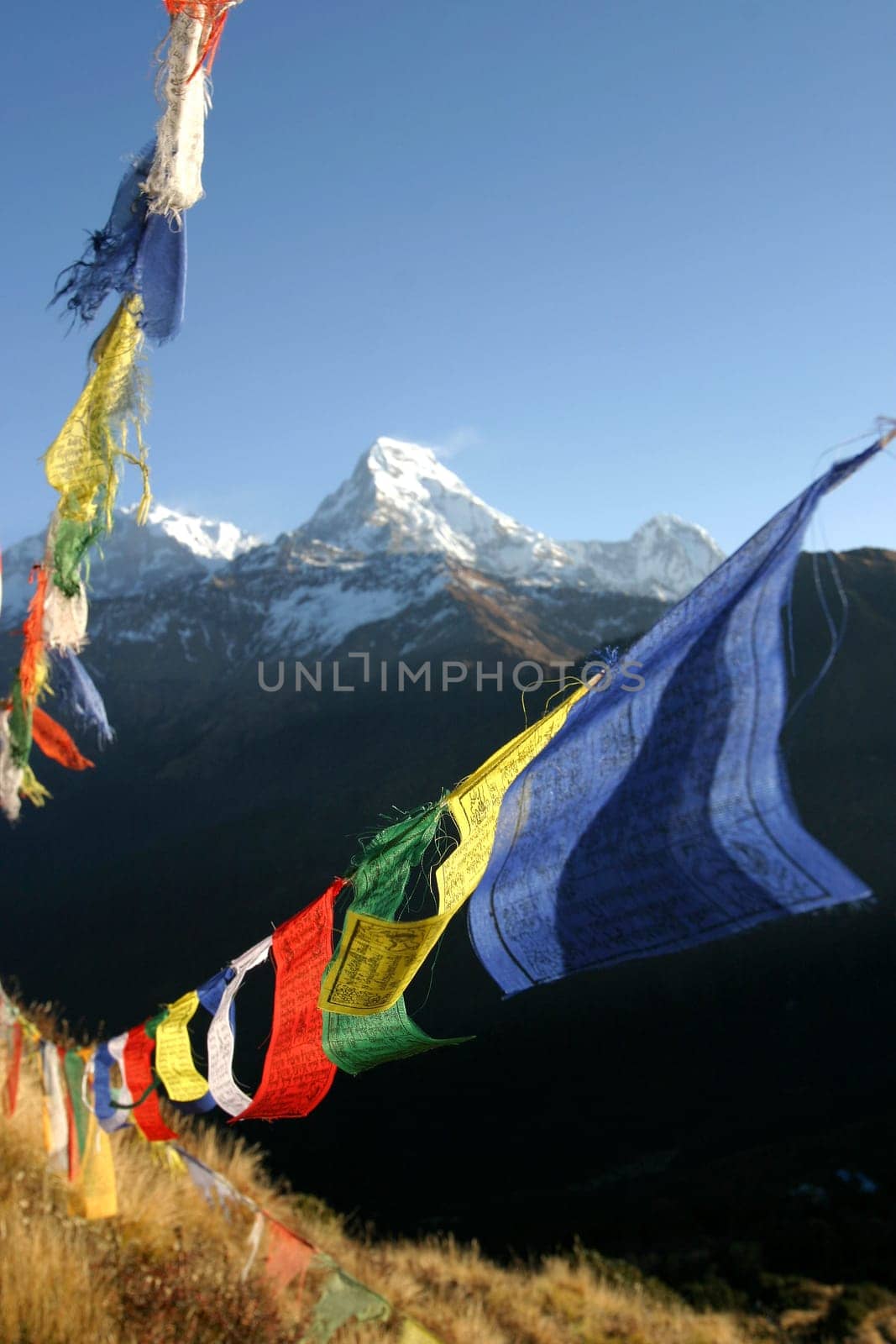 colourful prayerflags with snowy mountains in background