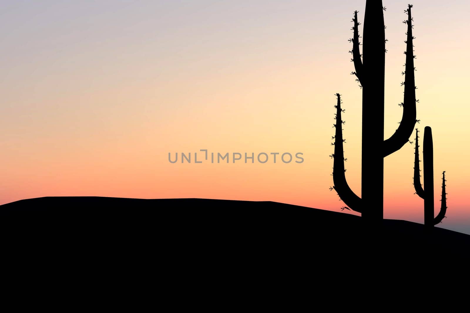 Desert background in sunset with cactus silhouettes