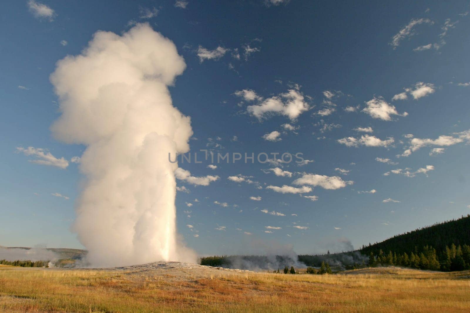 old faithful geyser in yellowstone national park, USA