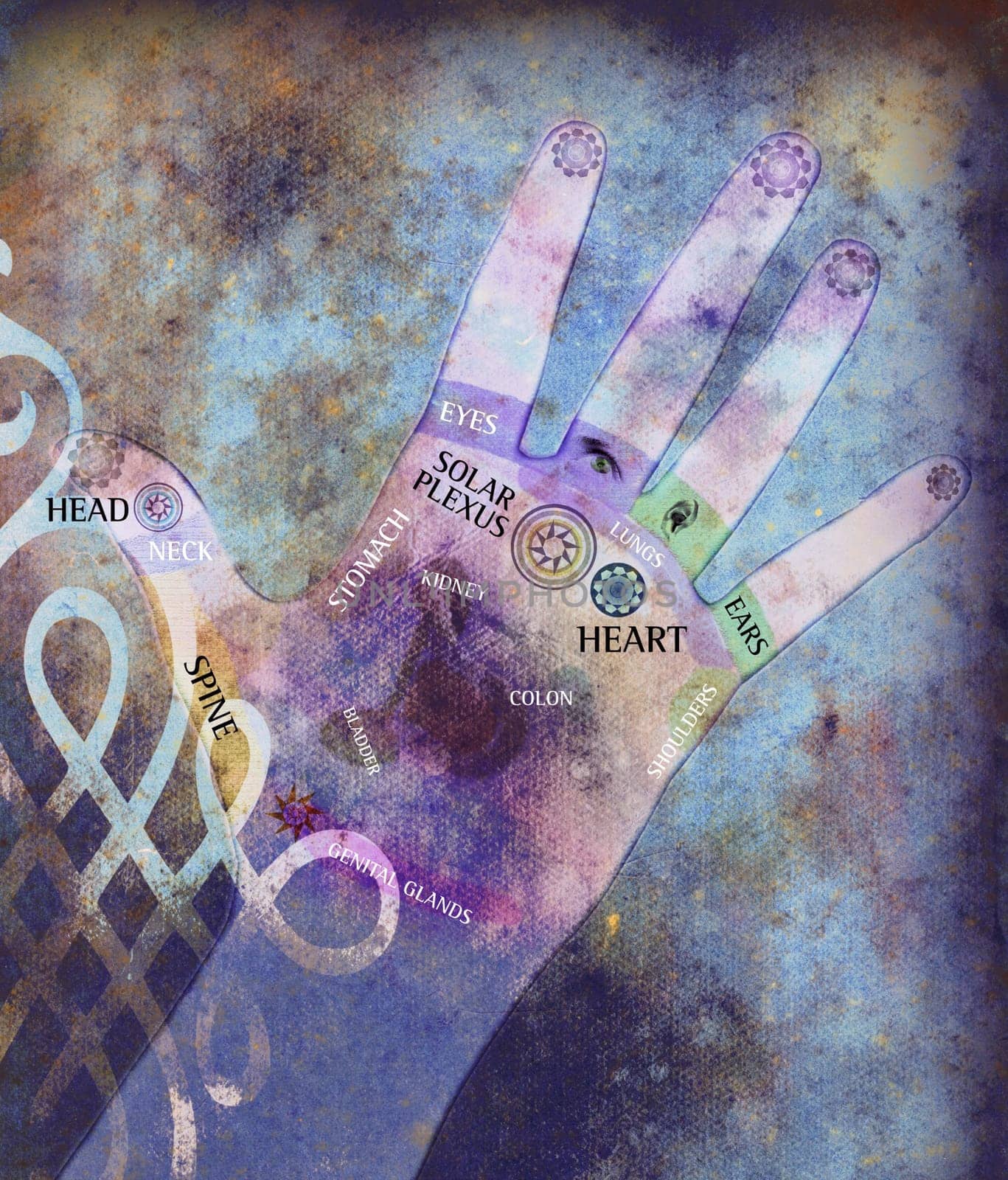 Illustration of a hand with reflexology points
