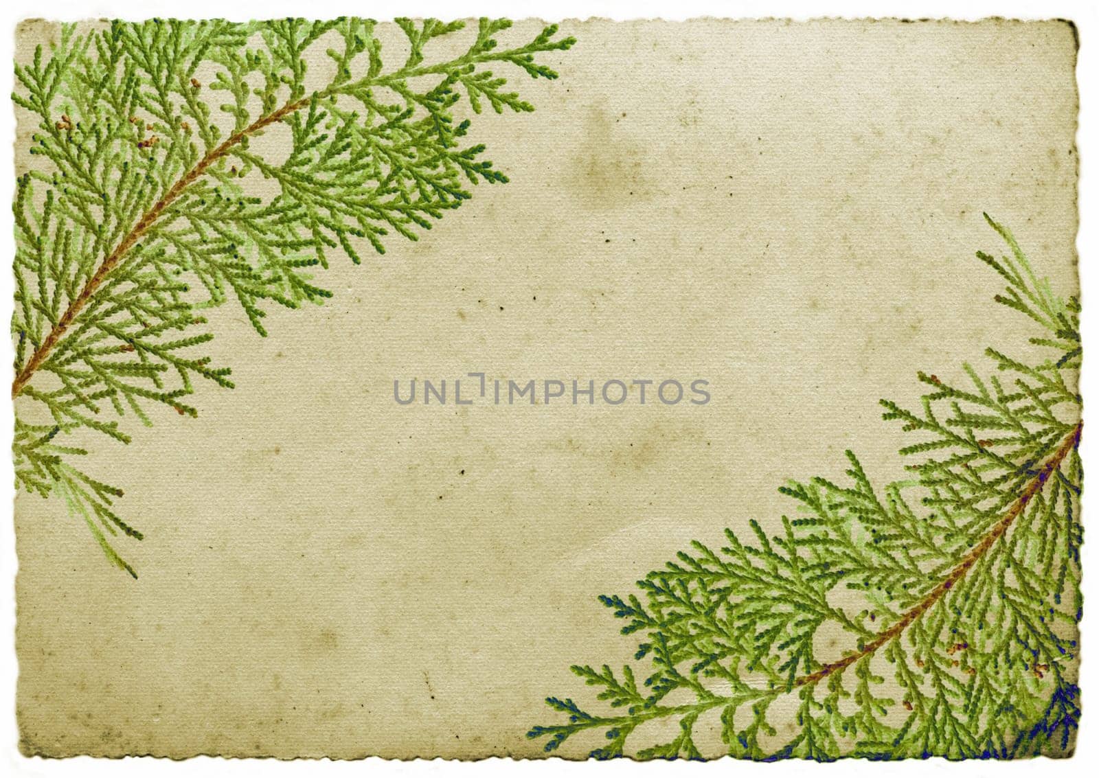Christmas leaf border - grunge abstract background with leaf