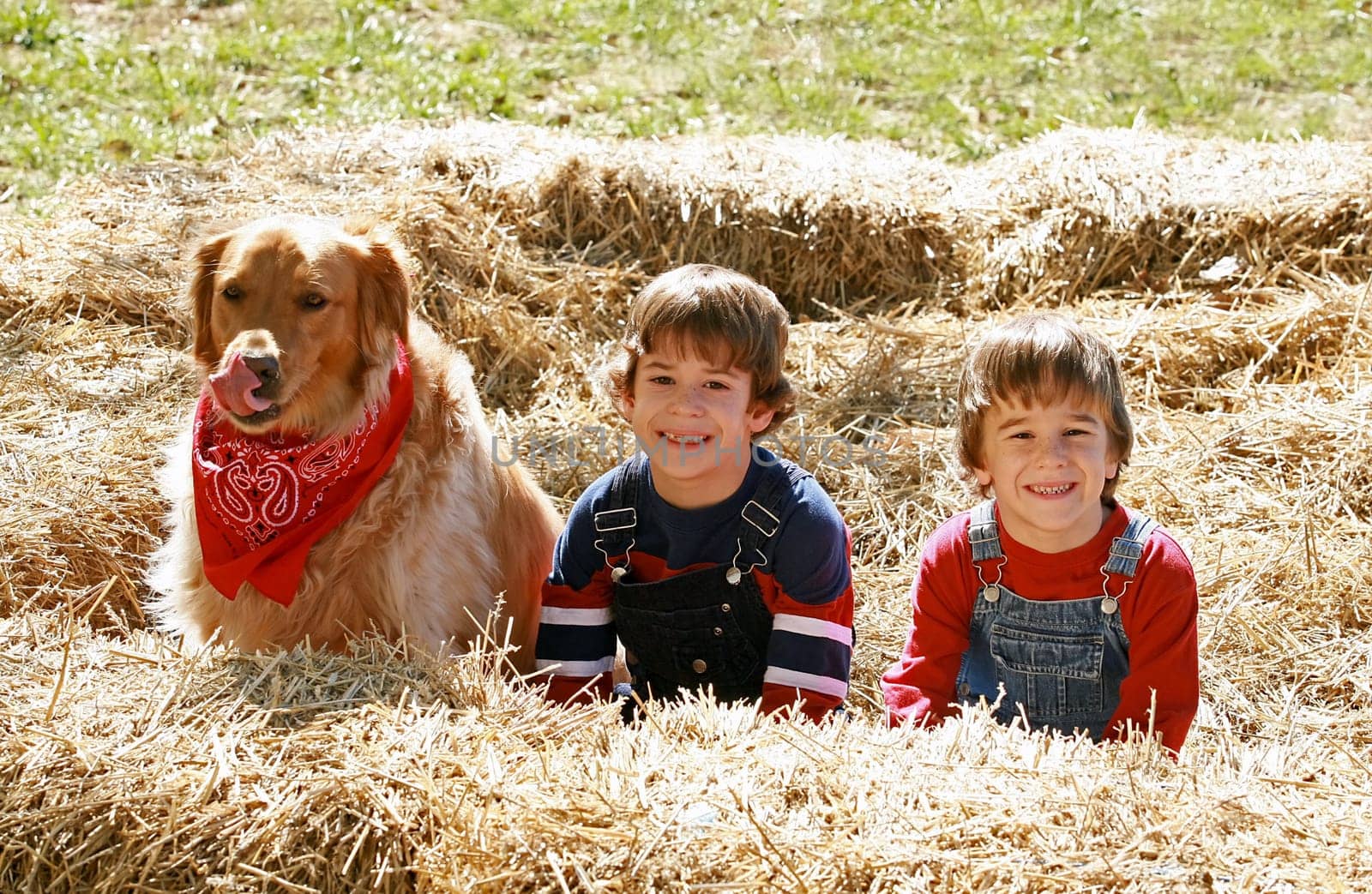 Little Farmers Sitting in the Hay with Their Dog
