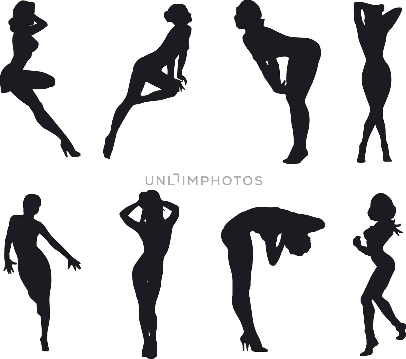 Illustration of sexy woman silhouettes