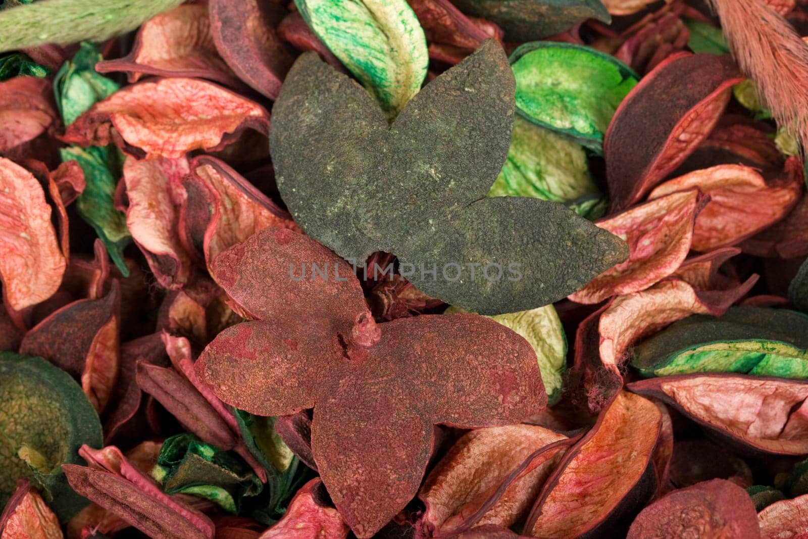 colorful dry leafs