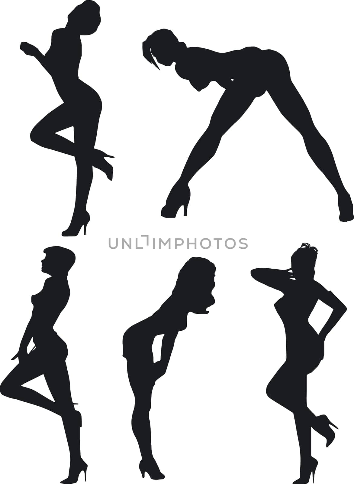 Illustration of sexy woman silhouettes
