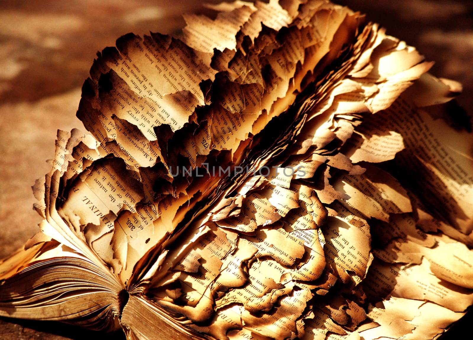 burned book