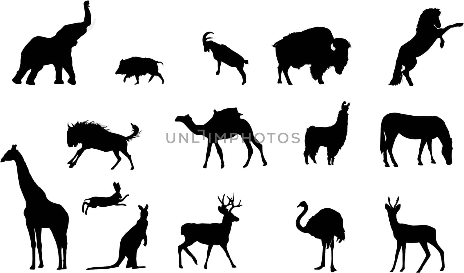 wild animals silhouettes