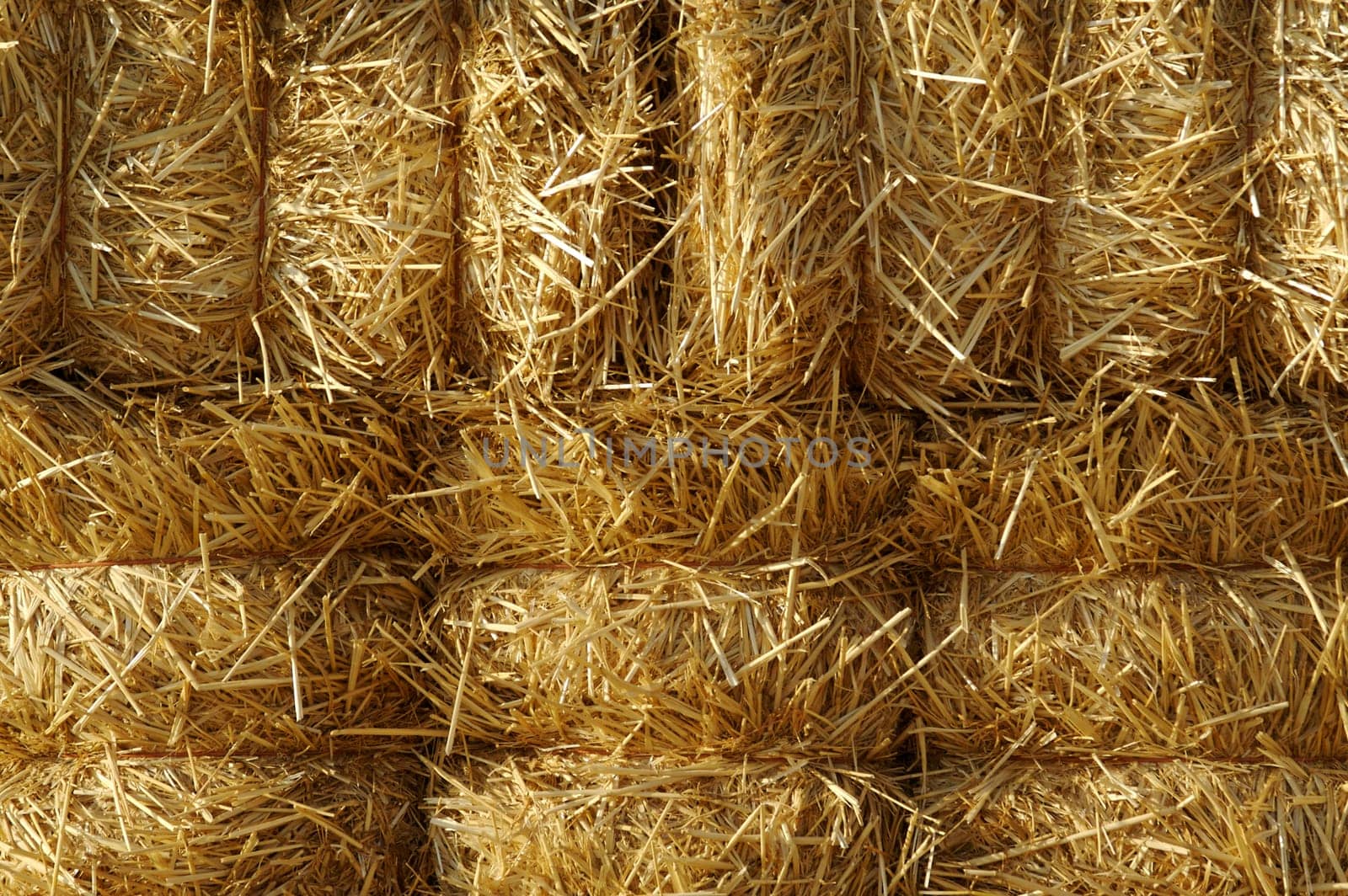 Stacked Straw Hay Bails In the Morning Sun