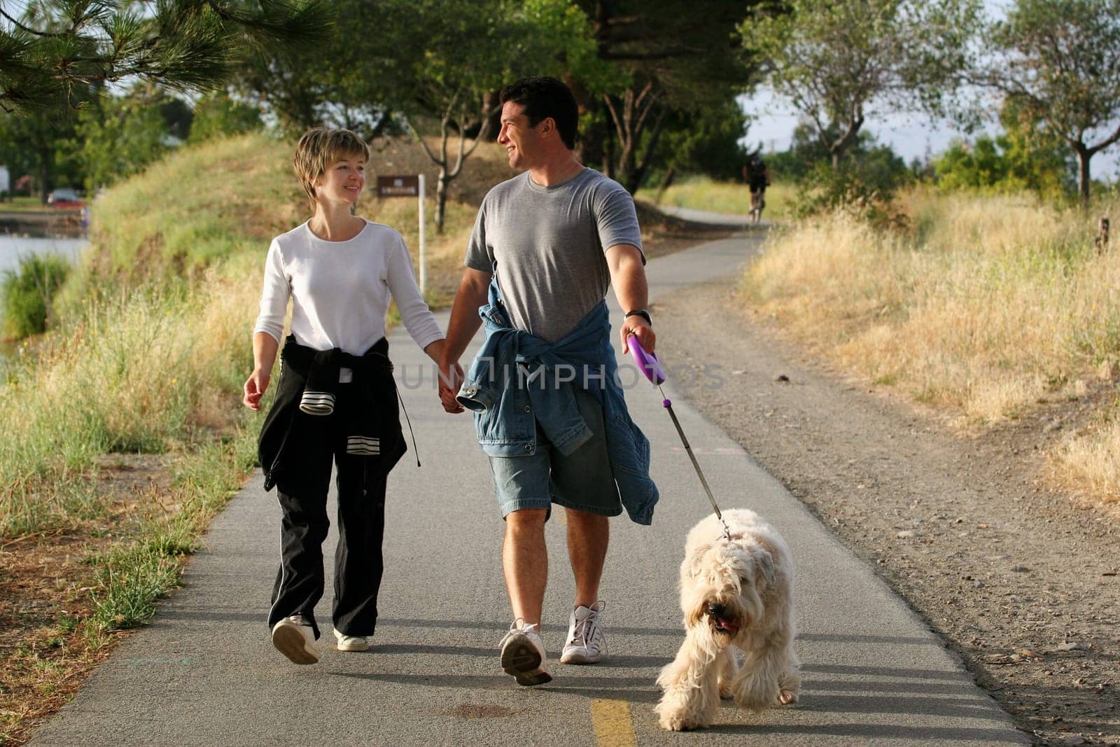 Couple walking their dog in the park
