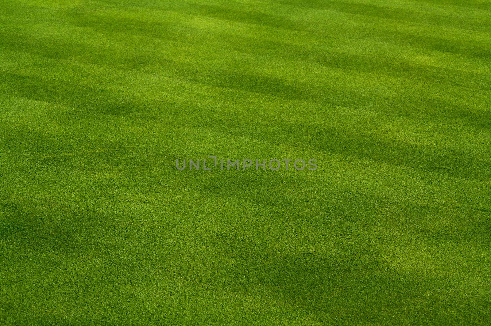 Lush Green Grass with Lawn Mower Pattern