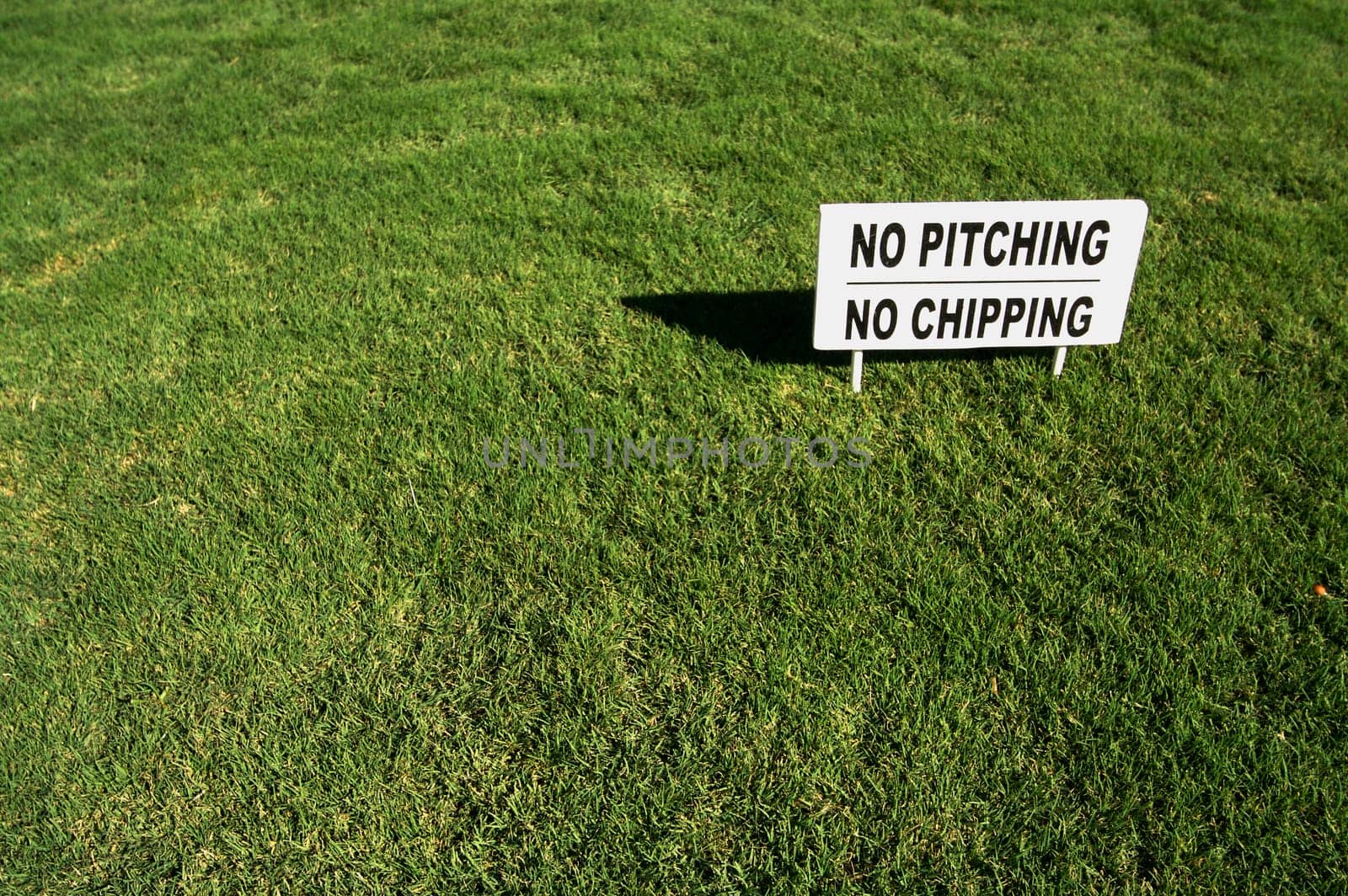 No Pitching, No Chipping sign in Lush Green Golf Course Grass.