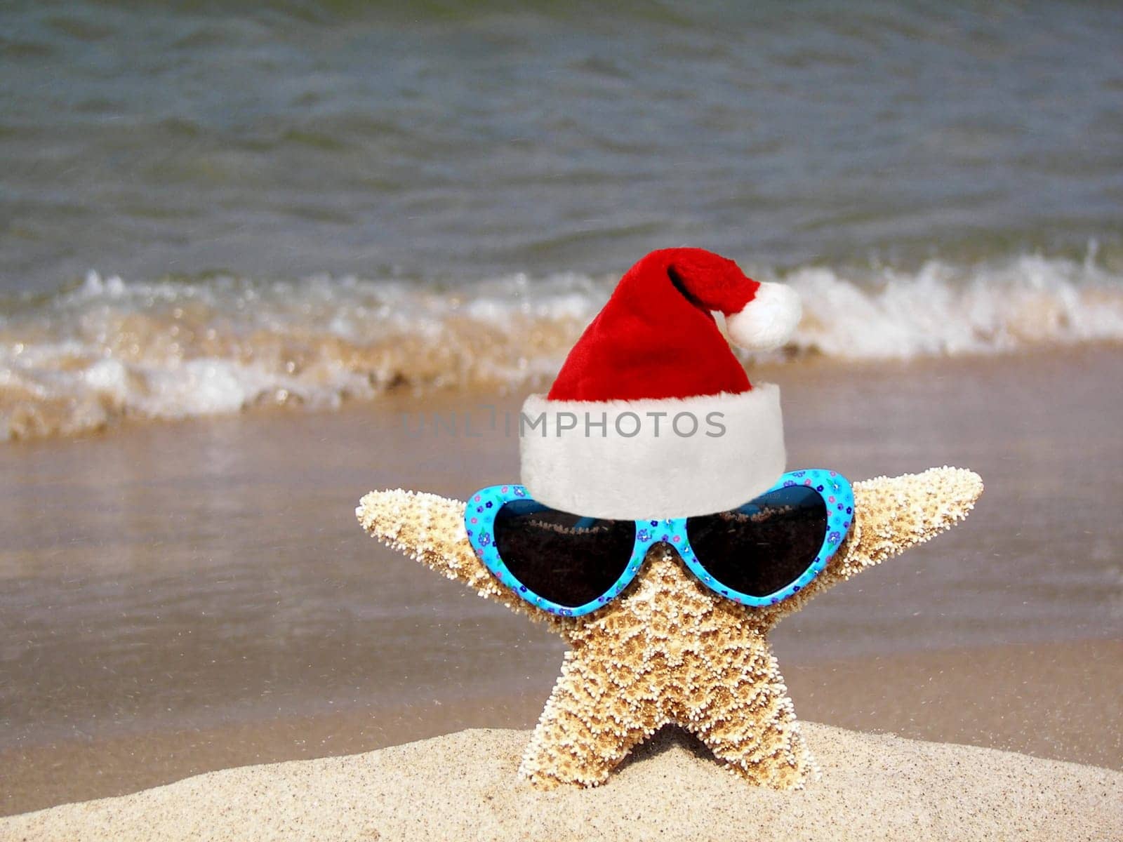 Starfish wearing sunglasses and a santa hat.