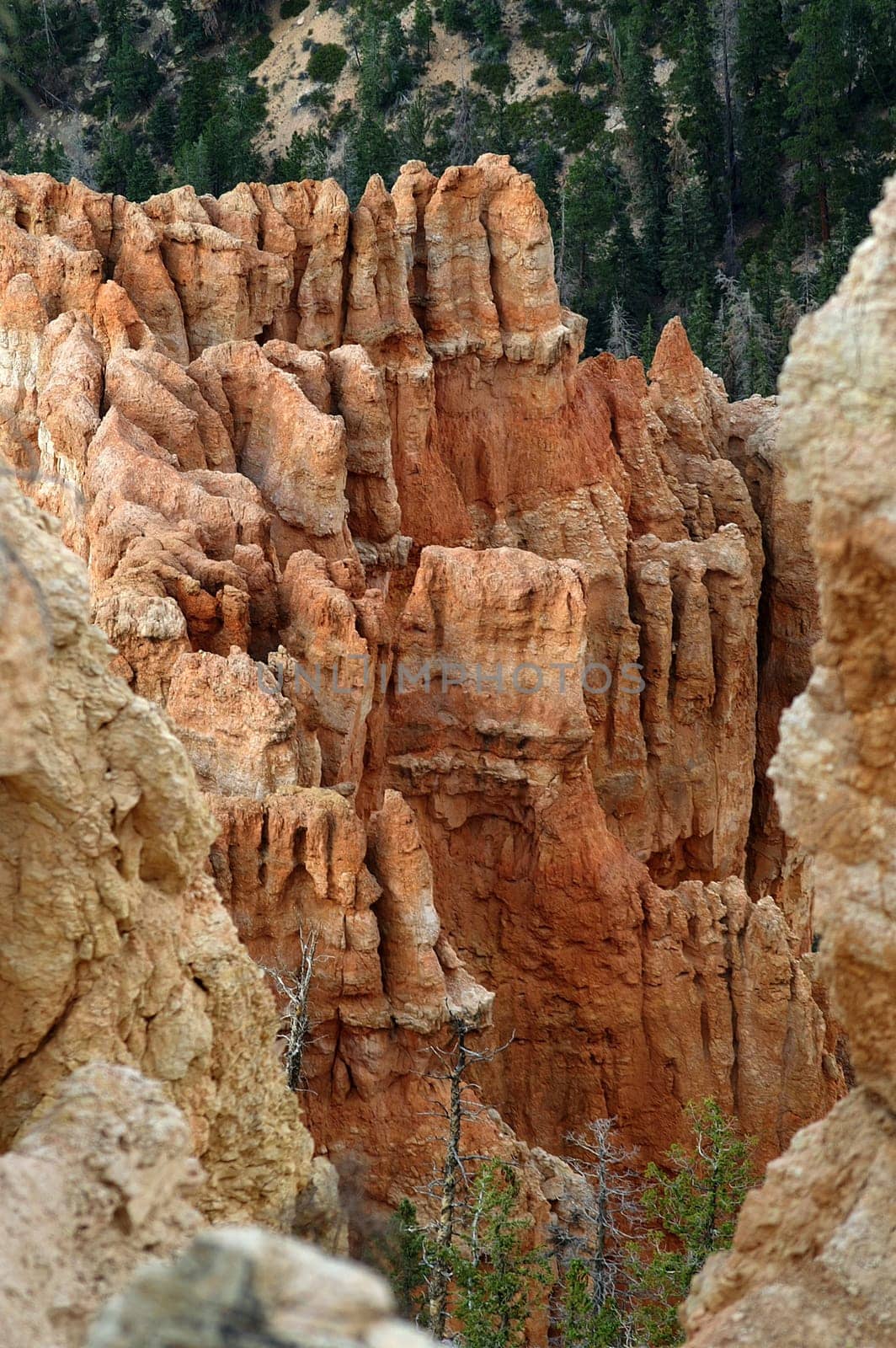 Unique stalagmites and columns in Bryce Canyon National Park, Utah, USA