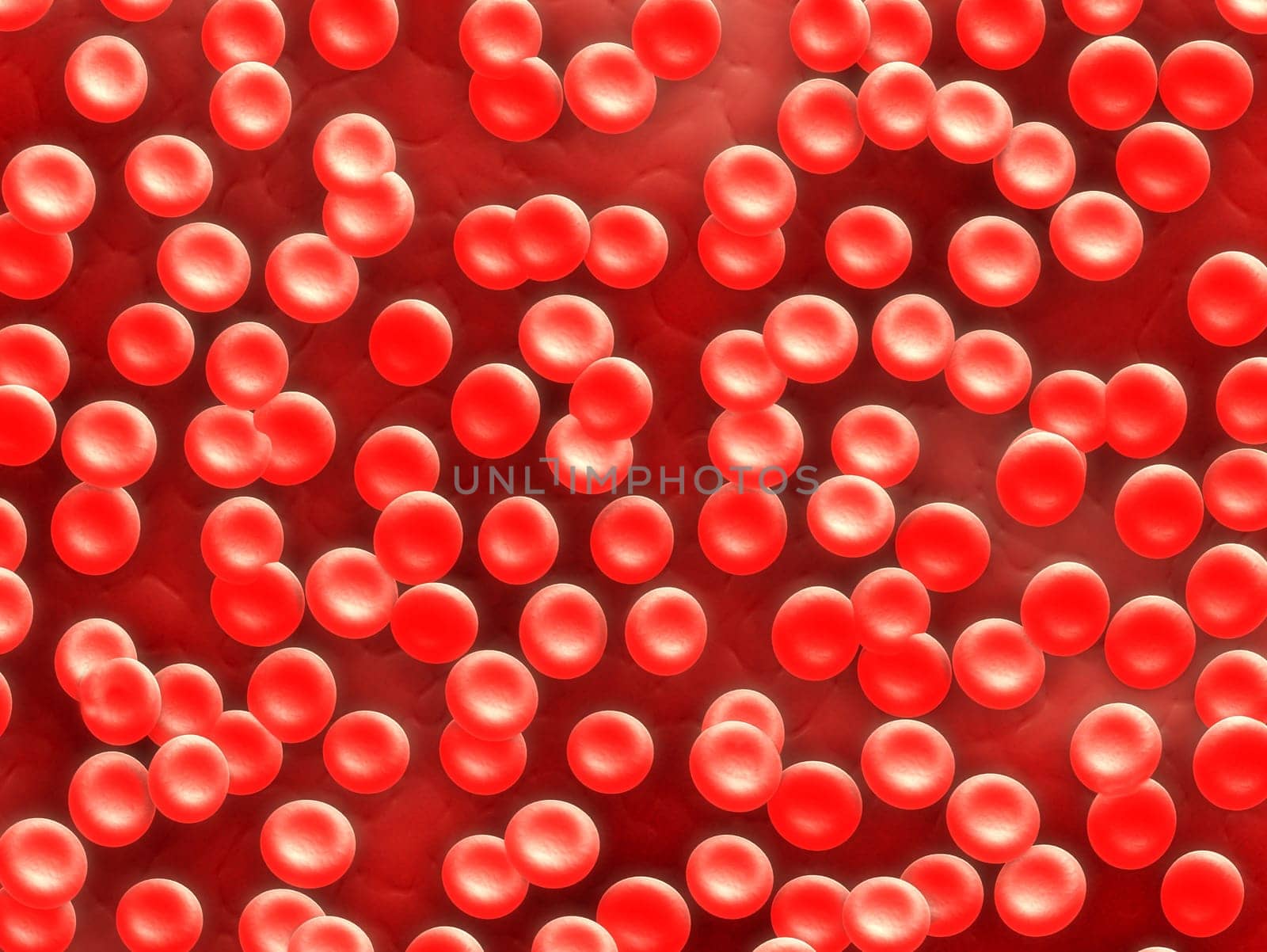 3d rendered close up of red blood cells