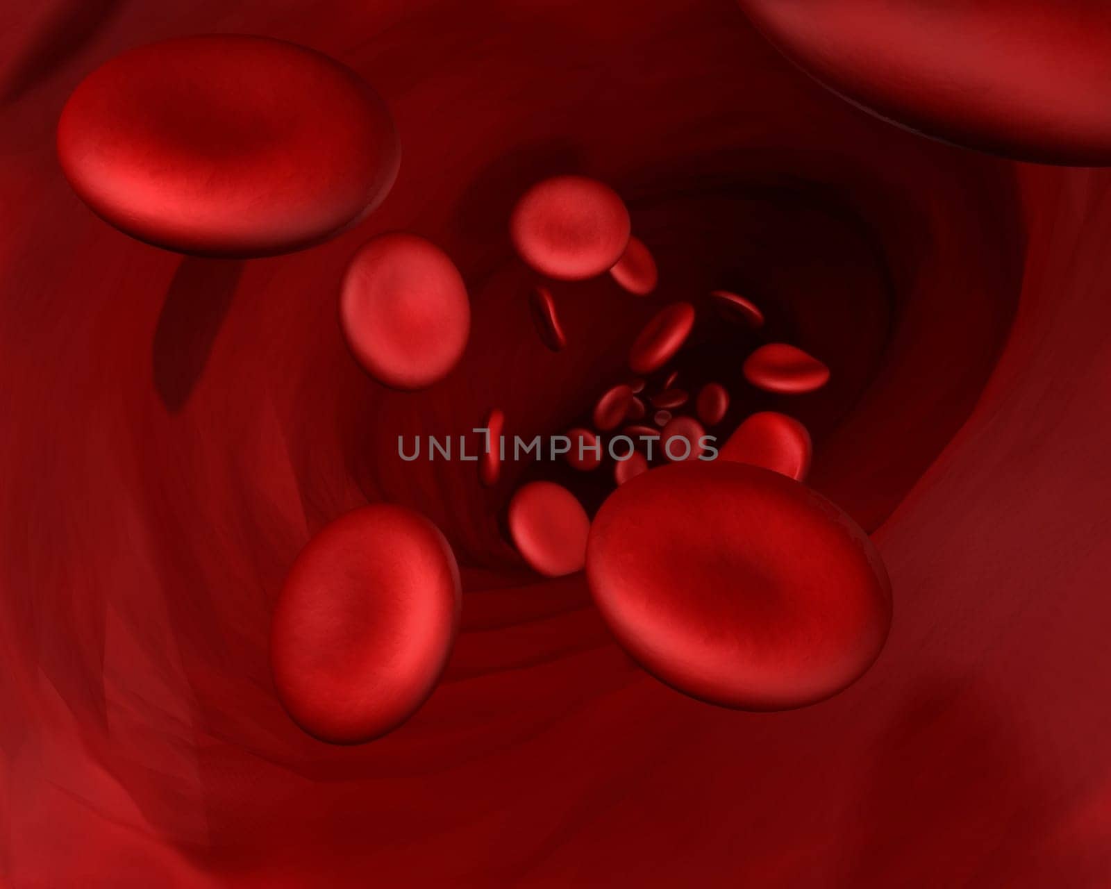 Blood cells passing through a vein