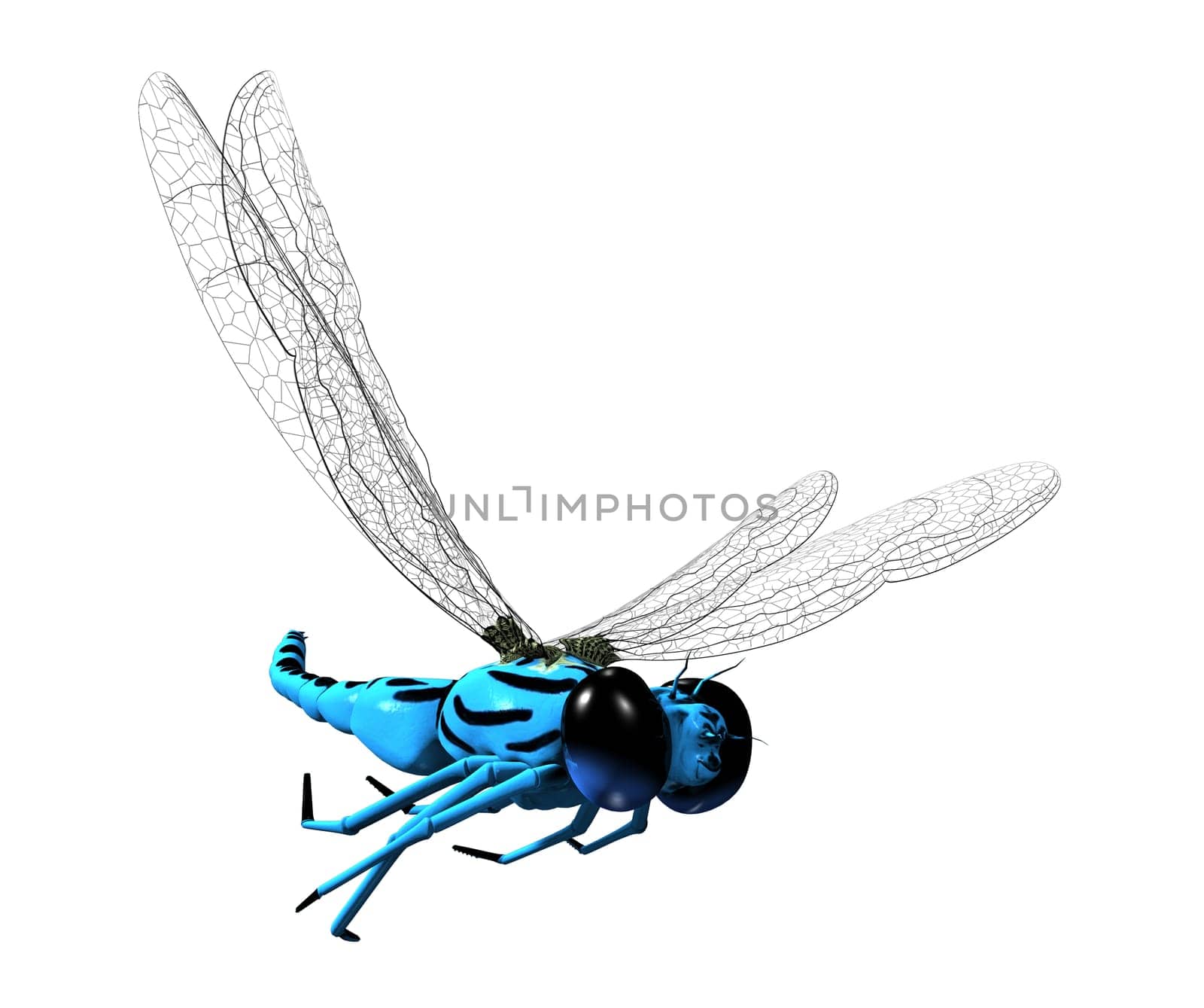 3D blue dragonfly with transparent wings and big eyes