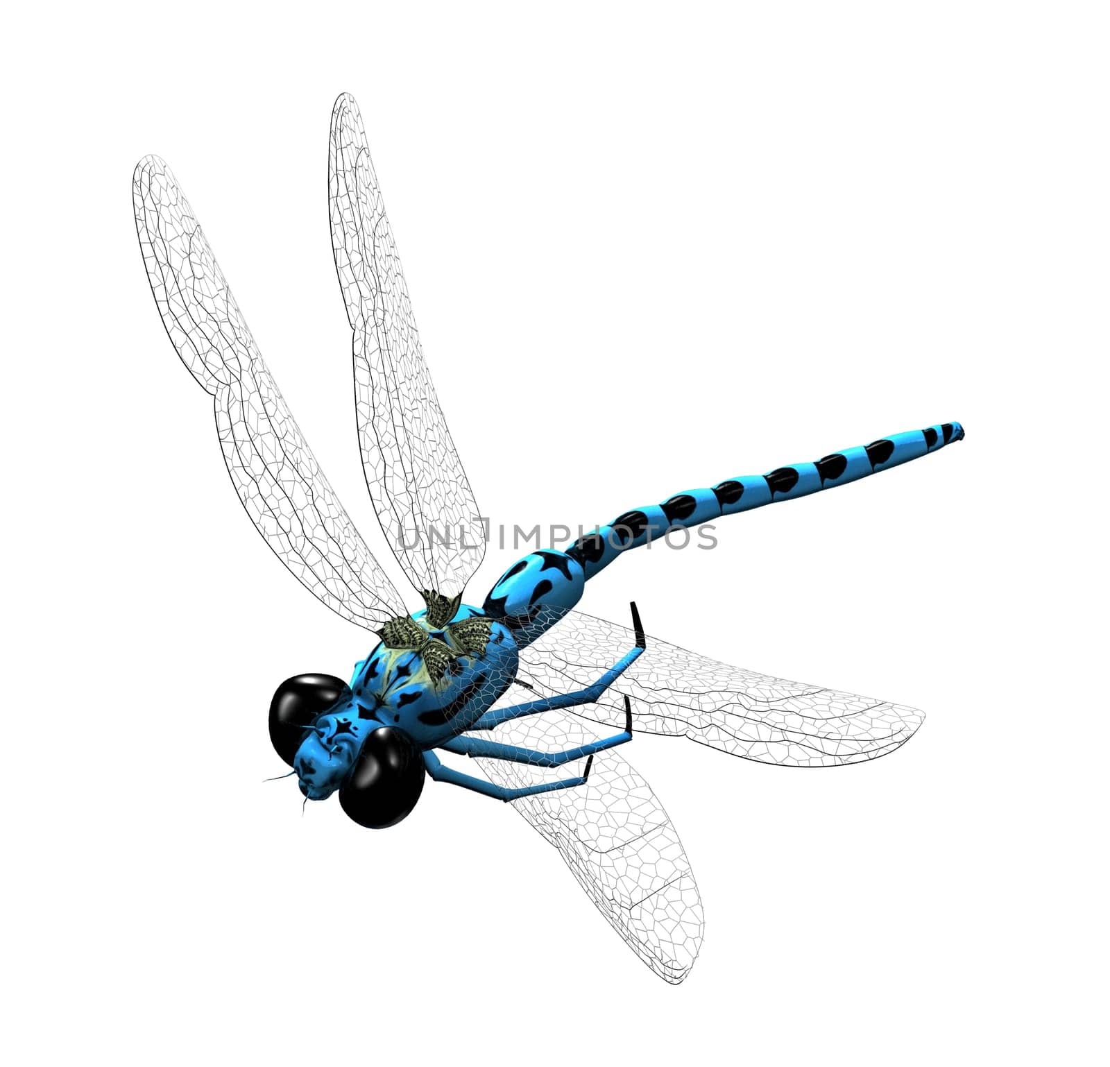 3D blue dragonfly with transparent wings and big eyes