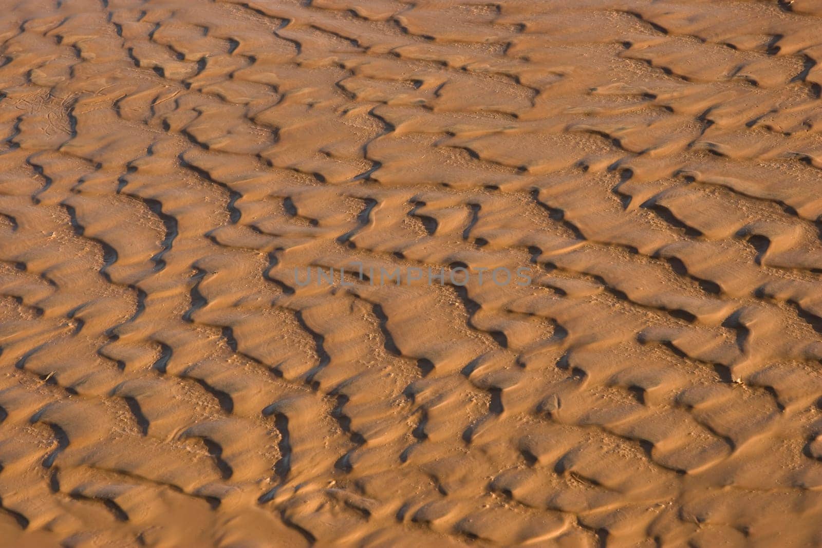 mud patterns 1