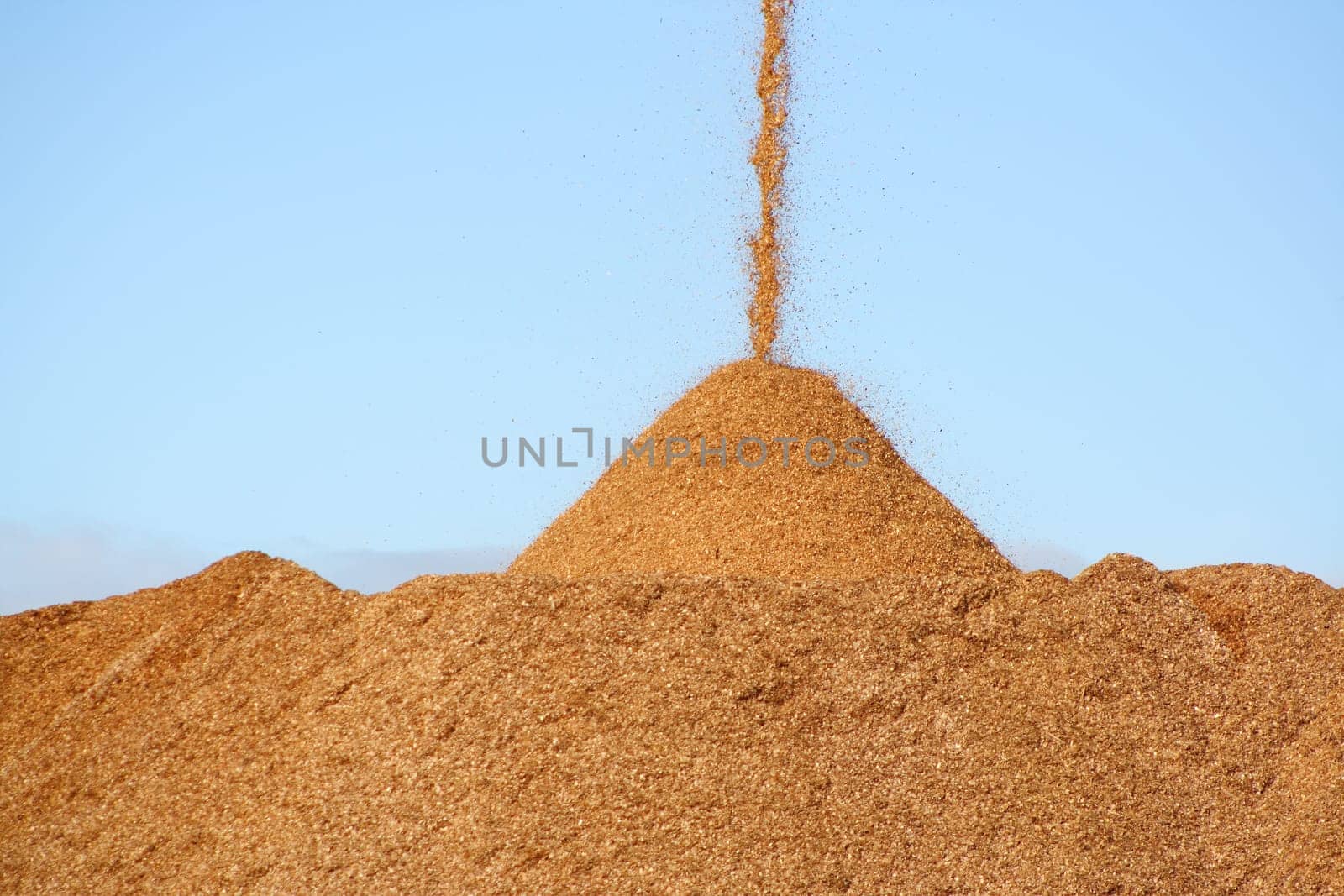 Pile of pouring wood chips