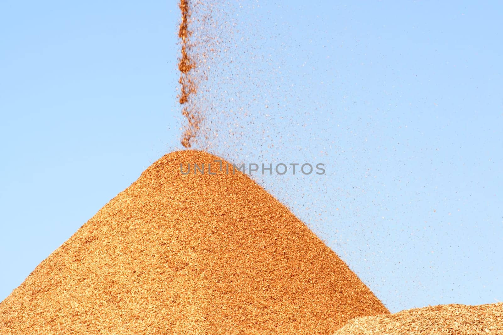 Pile of pouring wood chips