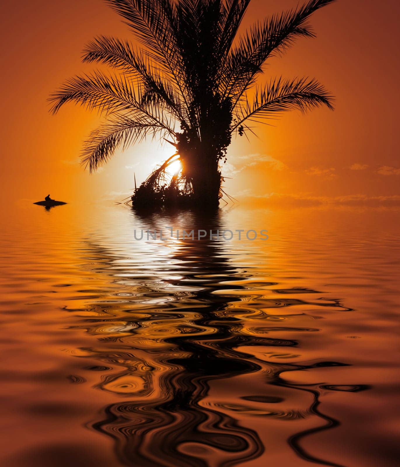 Island at Sunset  with submerged Palmtree and Bird on Driftwood