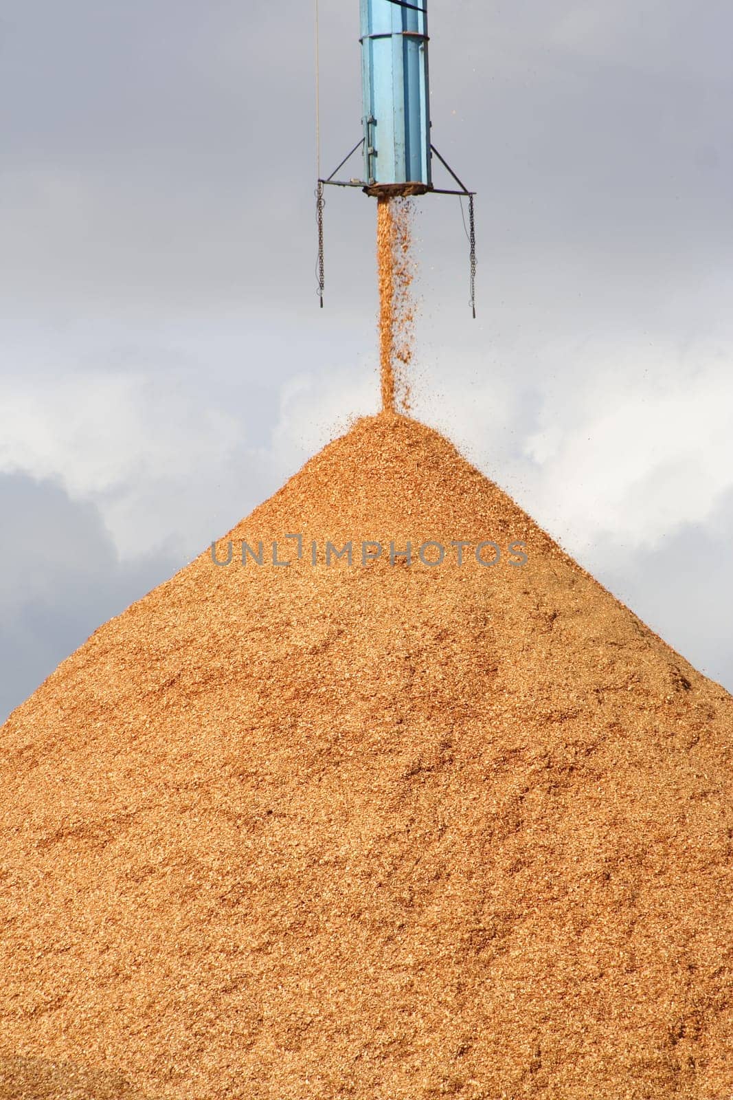Pile of pouring wood chips